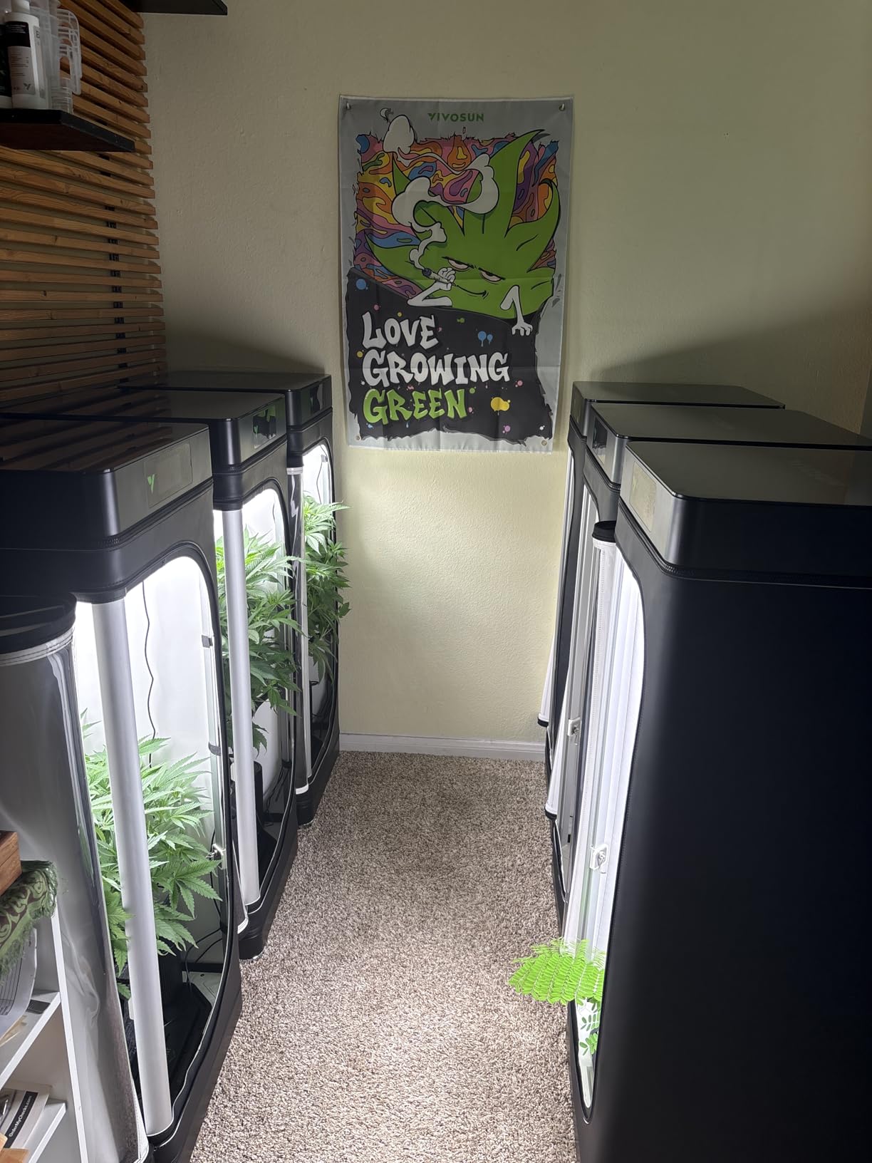 VGrow All-in-One Smart Grow Box, Professional System with Samsung LM301H EVO Grow Light, Advanced Circulation & Ventilation System, Irrigation, Nutrient, Magnetic Window for Indoor Hydroponics customer photo 1