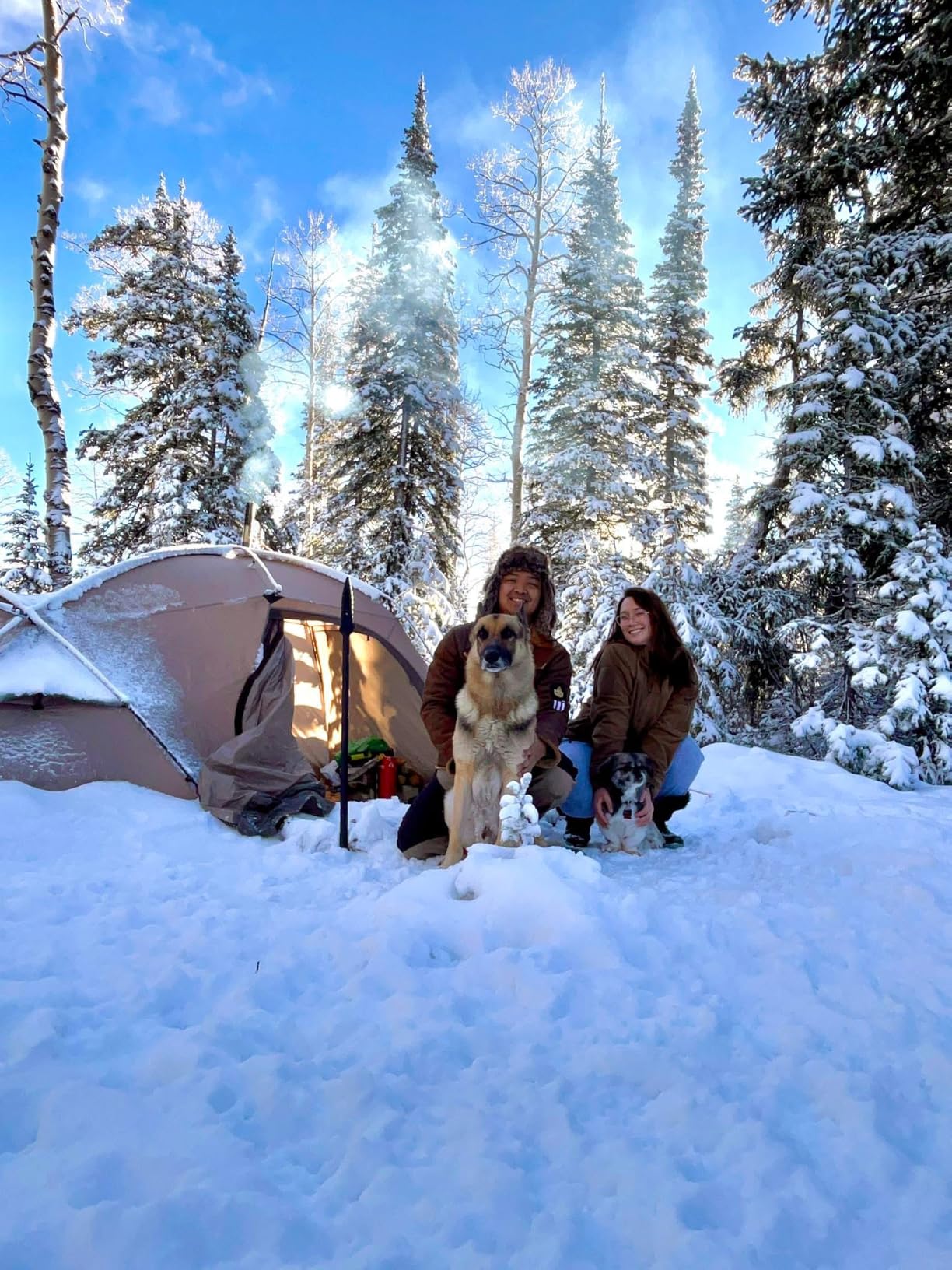 Massif Hot Tent with Stove Jack, Waterproof Windproof 4 Season Tent, 2/4 Person Cold Weather Winter Tents for Camping customer photo 1