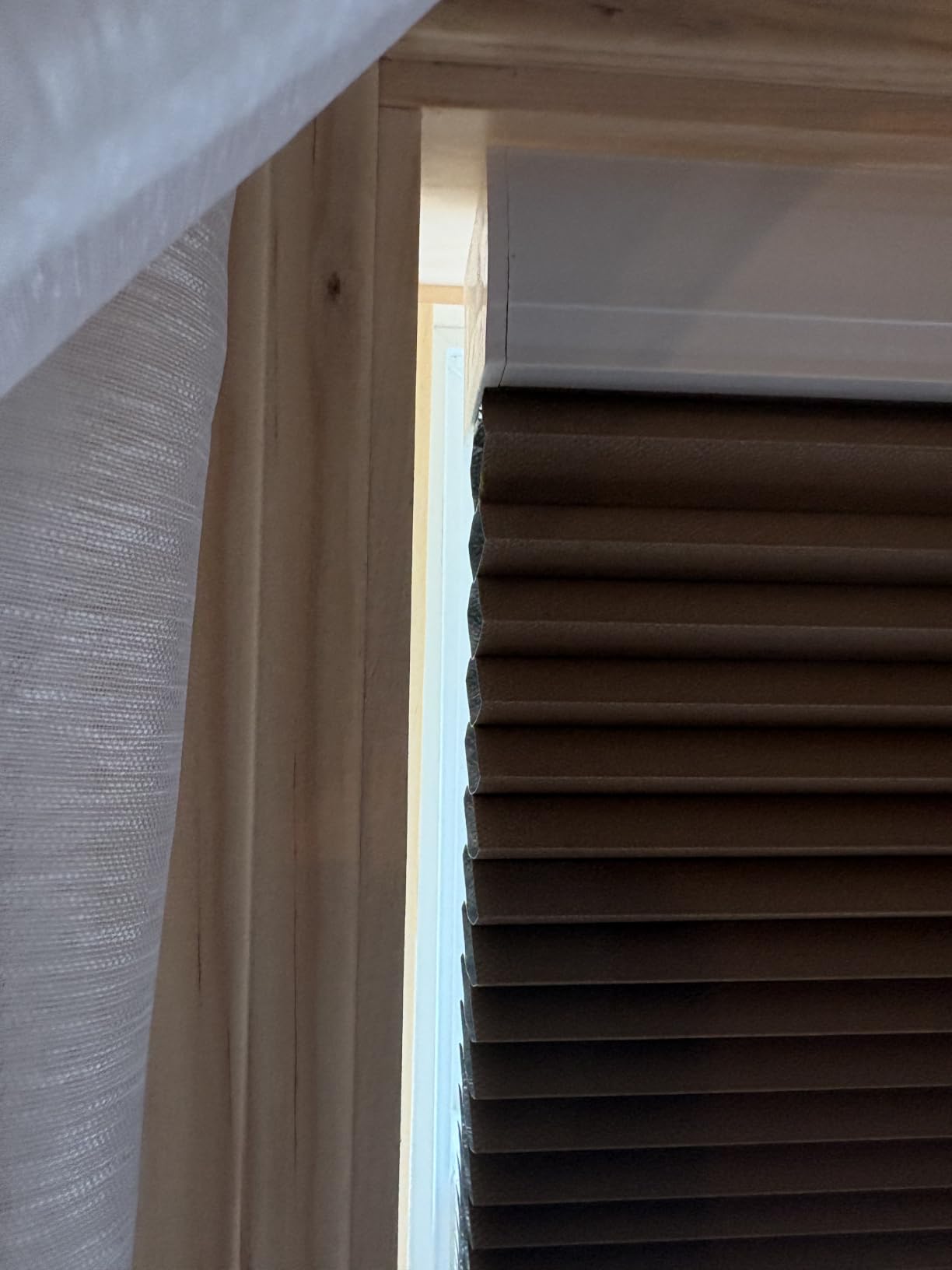 1.5-Inch Cellular Cordless Light Filtering Shades,Thermal Insulating Noise Reducing Waterproof Blinds,Honeycomb Window Treatments for Indoor Light Control (Beige-Custom) customer photo 1