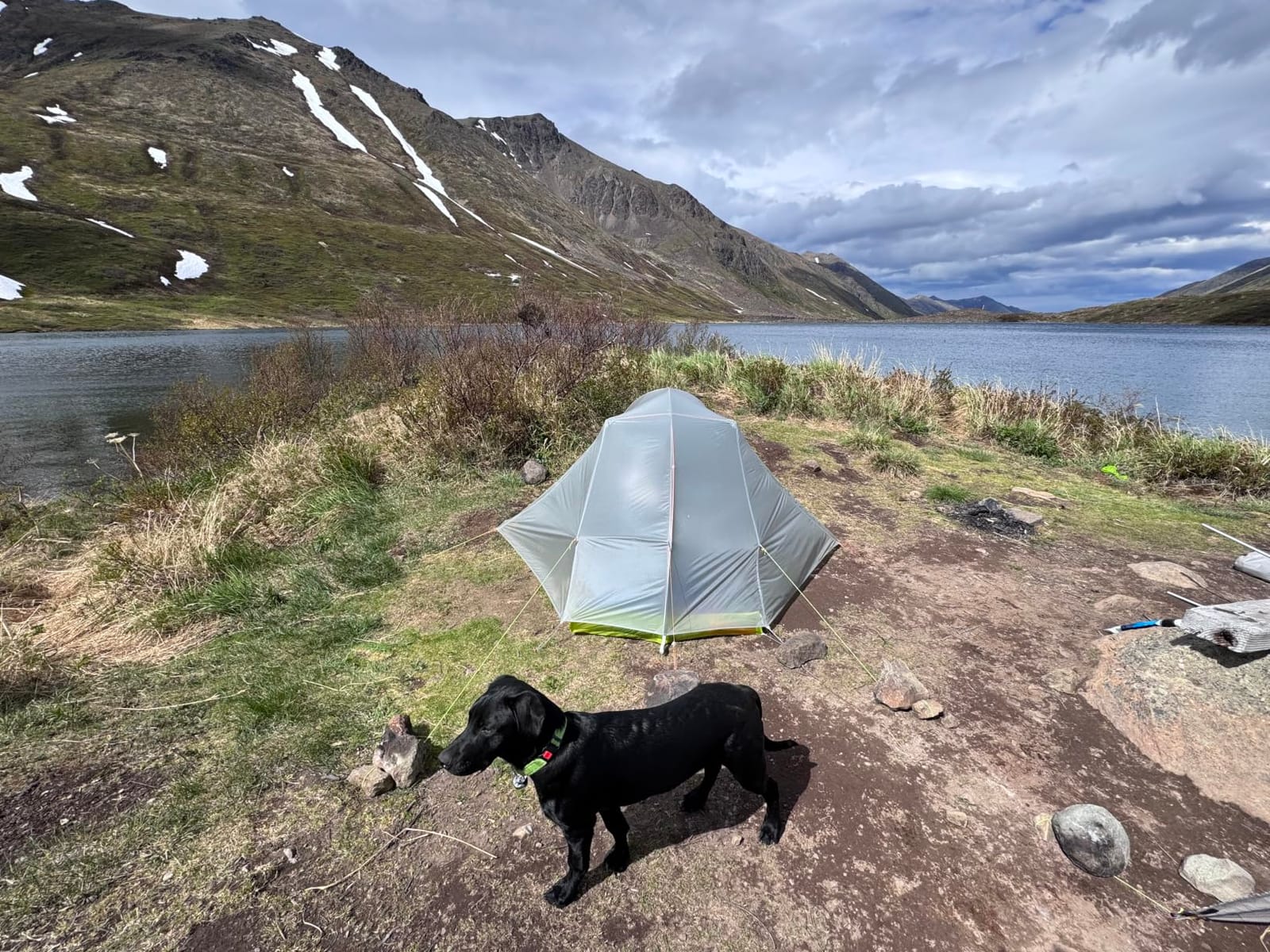 Ultralight Dog Sleeping Bag for Backpacking-Outdoor Dog Bed for Hiking-Packable Sleeping Bag for Dogs-Dog Travel Bed (Glacial Blue | Large) customer photo 1
