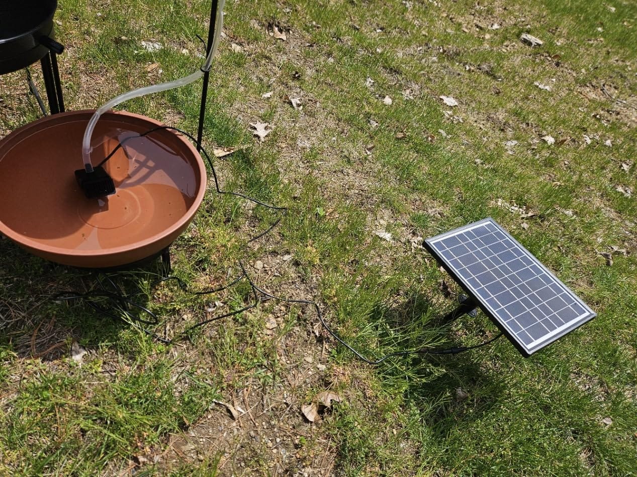 POPOSOAP Solar Fountain Pump with 3600mAh Battery Backup, 8W Solar Powered Bird Bath Fountain with Dry-run Protection & Double-layer Nozzles 5Ft Tubing for Pond, Bird Bath, Backyard Water Feature customer photo 1