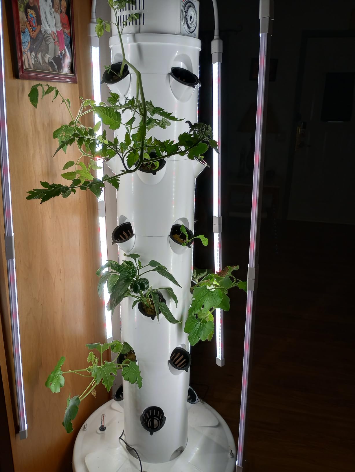 GX Hydroponic Tower | Vertical Planter Tower | Hydroponics Growing System Kit | Food Grade with 24 Net Pots (with LED Grow Lights) customer photo 2