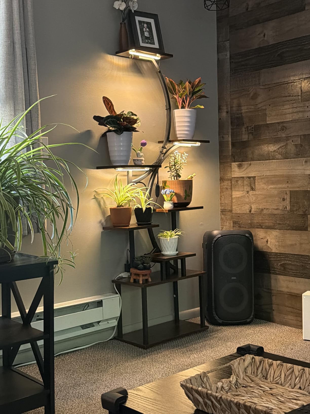 BACEKOLL Plant Stand Indoor with Grow Light, 8 Tier Corner Plant Shelf Tall | 62