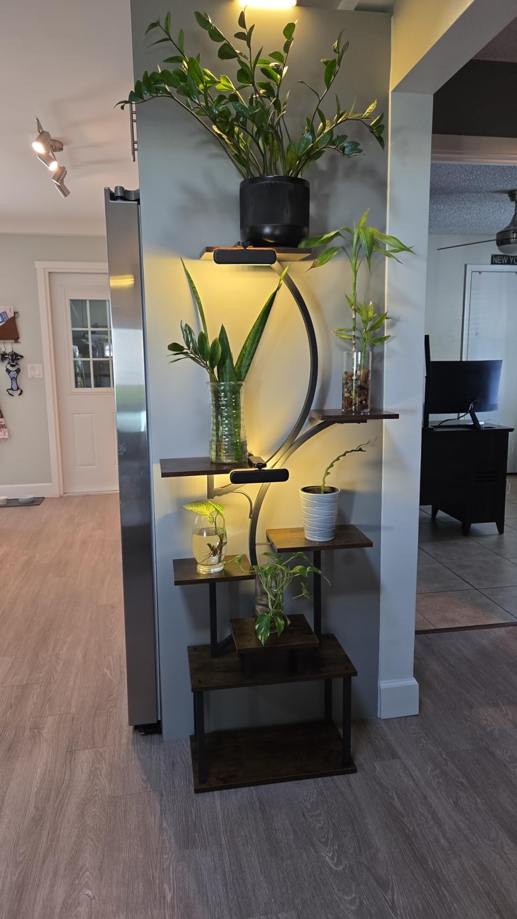 BACEKOLL Plant Stand Indoor with Grow Light, 8 Tier Corner Plant Shelf Tall | 62