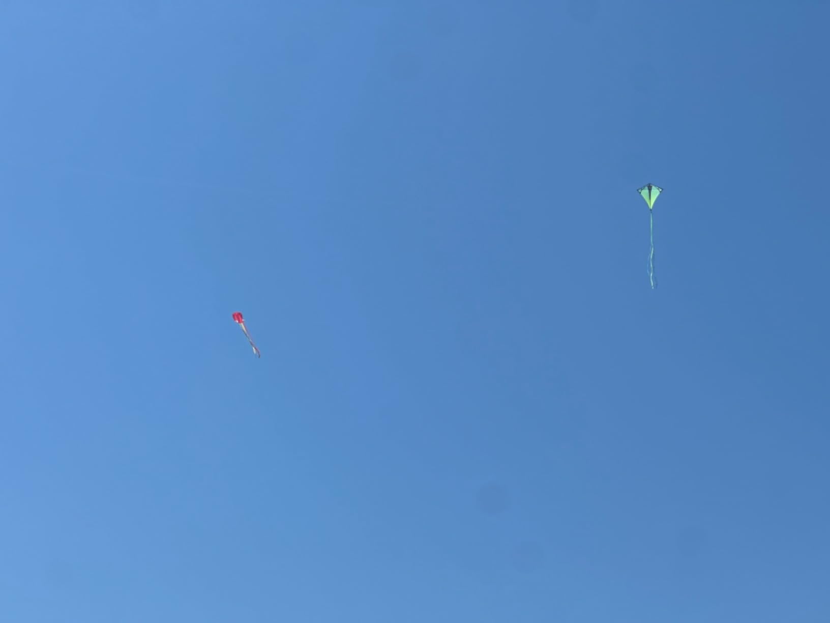 Prism Kites Sinewave Parafoil Kite | Ready-to-Fly Package is Frameless, Durable, and Stable, with a 20-Foot Ribbon Tail Included customer photo 1