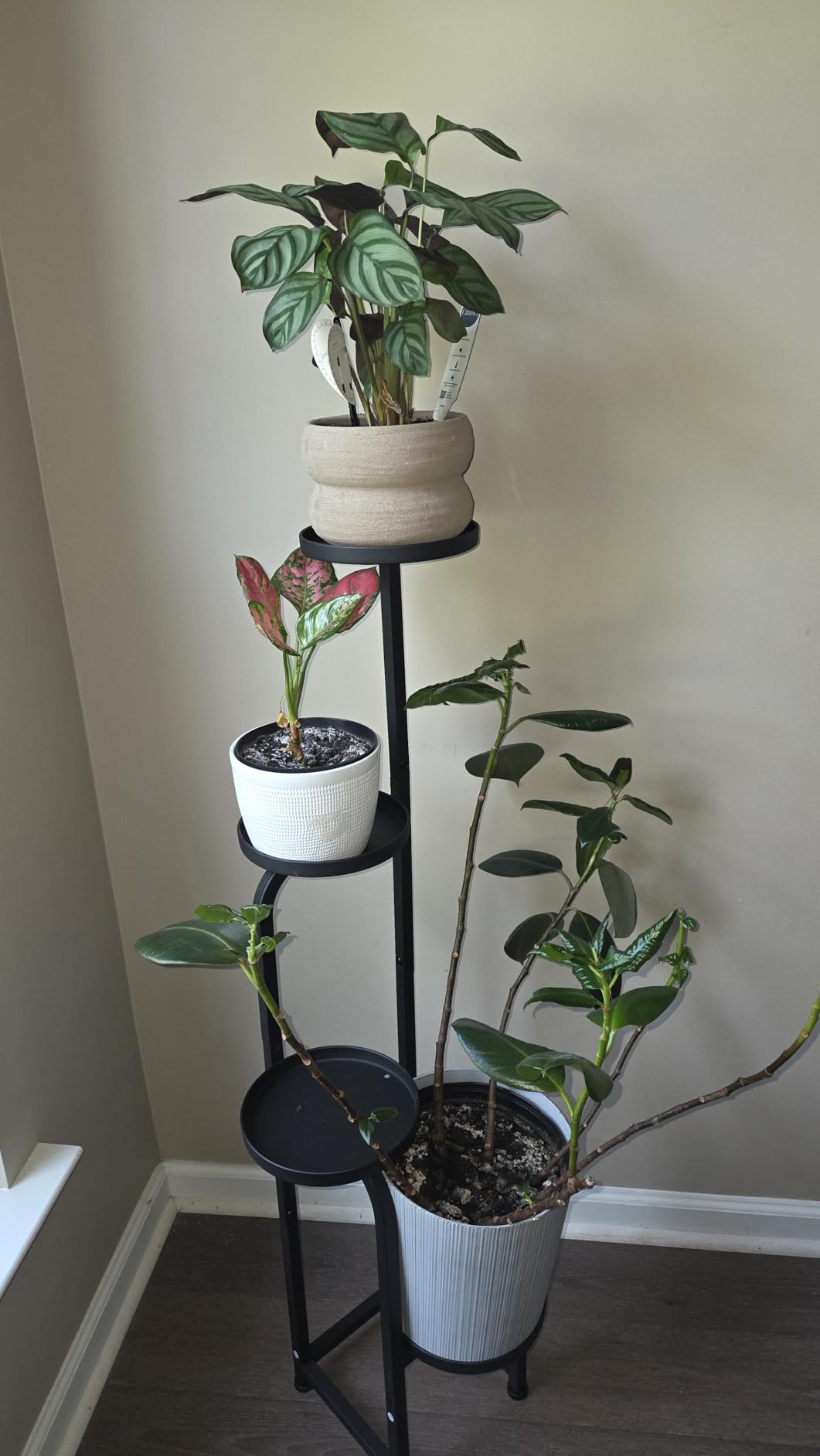 Bamworld Tall Plant Stand Indoor Outdoor Corner Metal Flower Pot Stands | 4 Tier Heavy Duty Plant Shelf for Multiple Plants Plant Table for Patio Garden Balcony Living Room Bedroom(Patent Design) customer photo 1