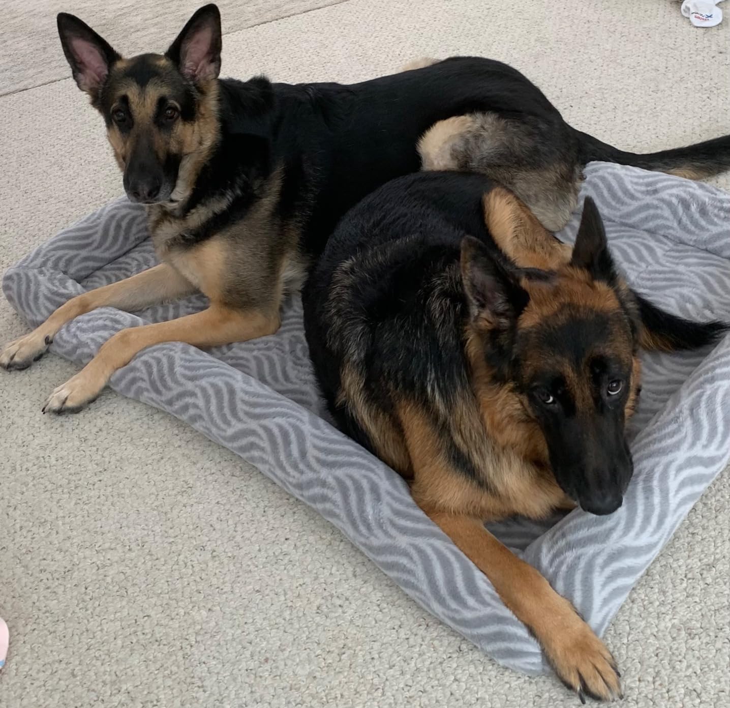 MidWest Homes for Pets QuiteTime Deluxe Wave Bolster Bed for Small Dogs; Easily Machine Wash and Dry; Gray; 22