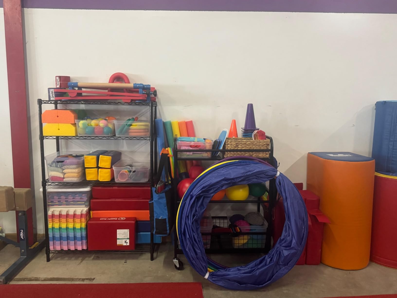 EXTCCT Ball Storage Rack with Wheels for Garage, Sports Equipment Organizer customer photo 1