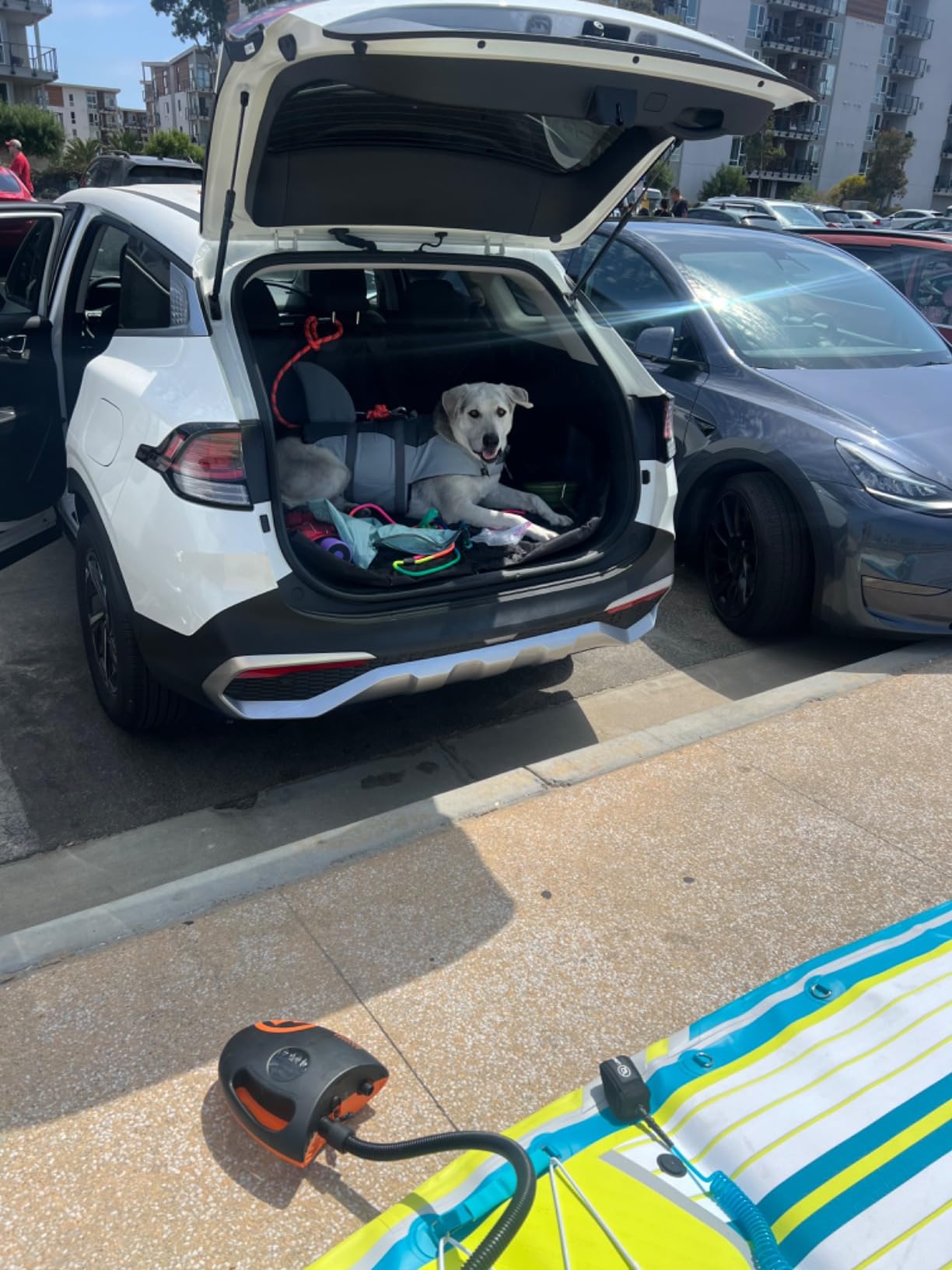 OutdoorMaster Shark 2S 88.8Wh Electric Paddle Board Pump Inflate & Deflate | 88.8Wh Rechargeable SUP Air Pump, One Charge for 6 SUPs, 12V/15.8V DC Input, Digital Display, 20PSI, Auto-Off, 8 Nozzles customer photo 2