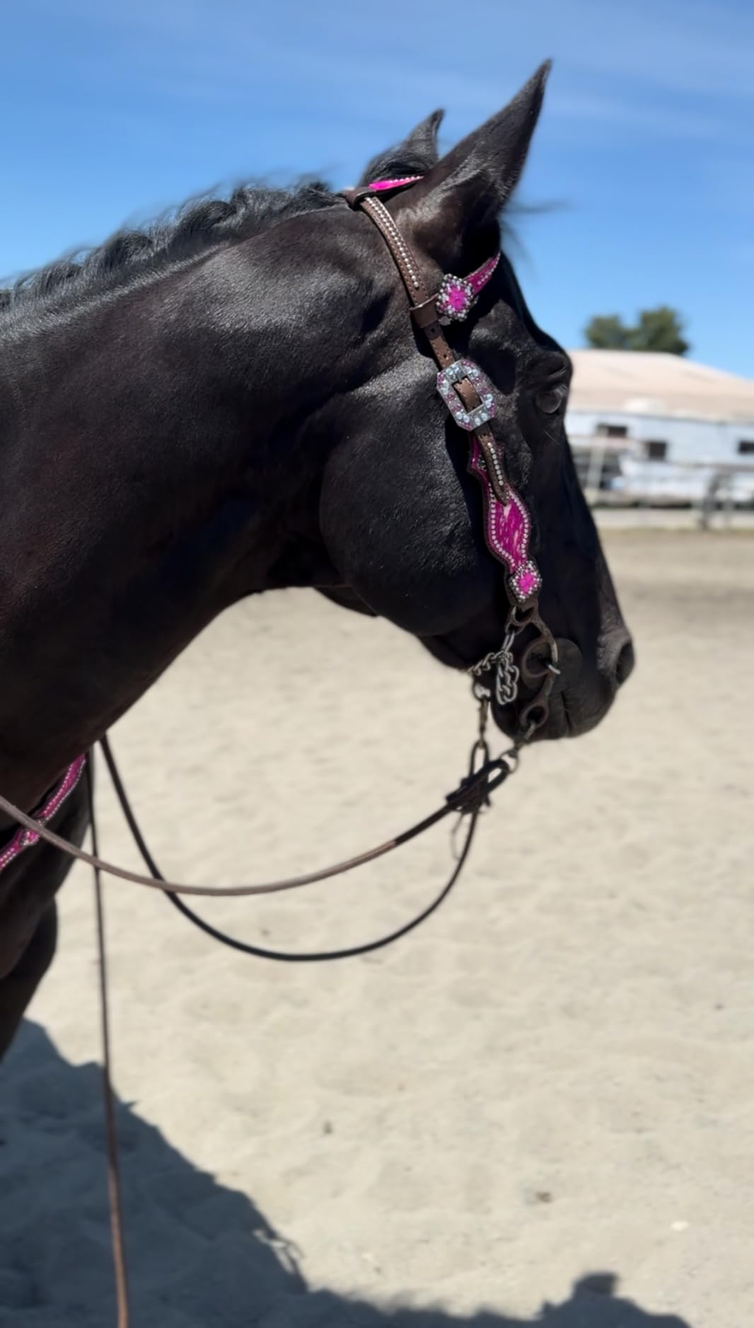 Western One Ear Leather Headstall and Breast Collar Tack Set with Rhinestones, Pink Silver Metallic Acid Wash Cowhide Look, Full Average Size Horse customer photo 2
