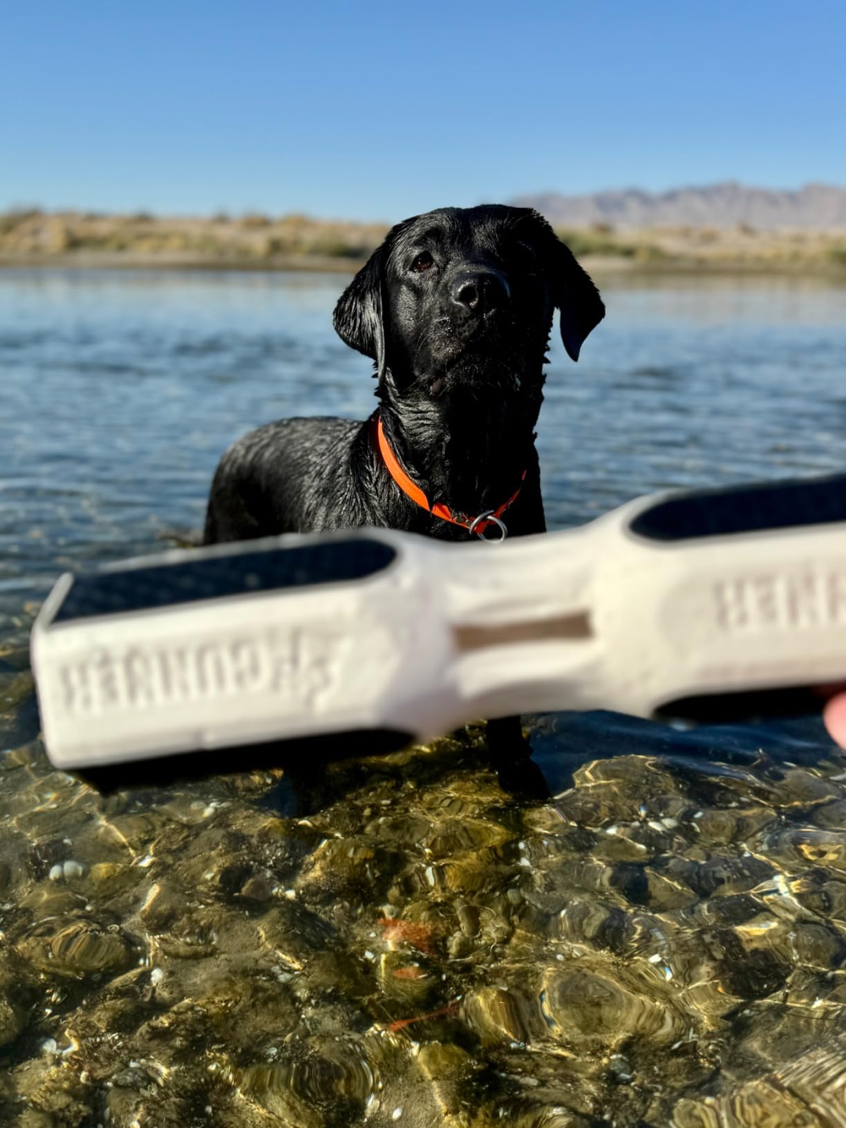 GUNNER Dog Training Bumper, Orange Retriever Dummy with Adjustable Rope | Orange Dog Training Bumper, Floating DuraTrieve Retriever Dummy, Adjustable Rope, Scent Cavity, Vented and Tapered Design customer photo 2