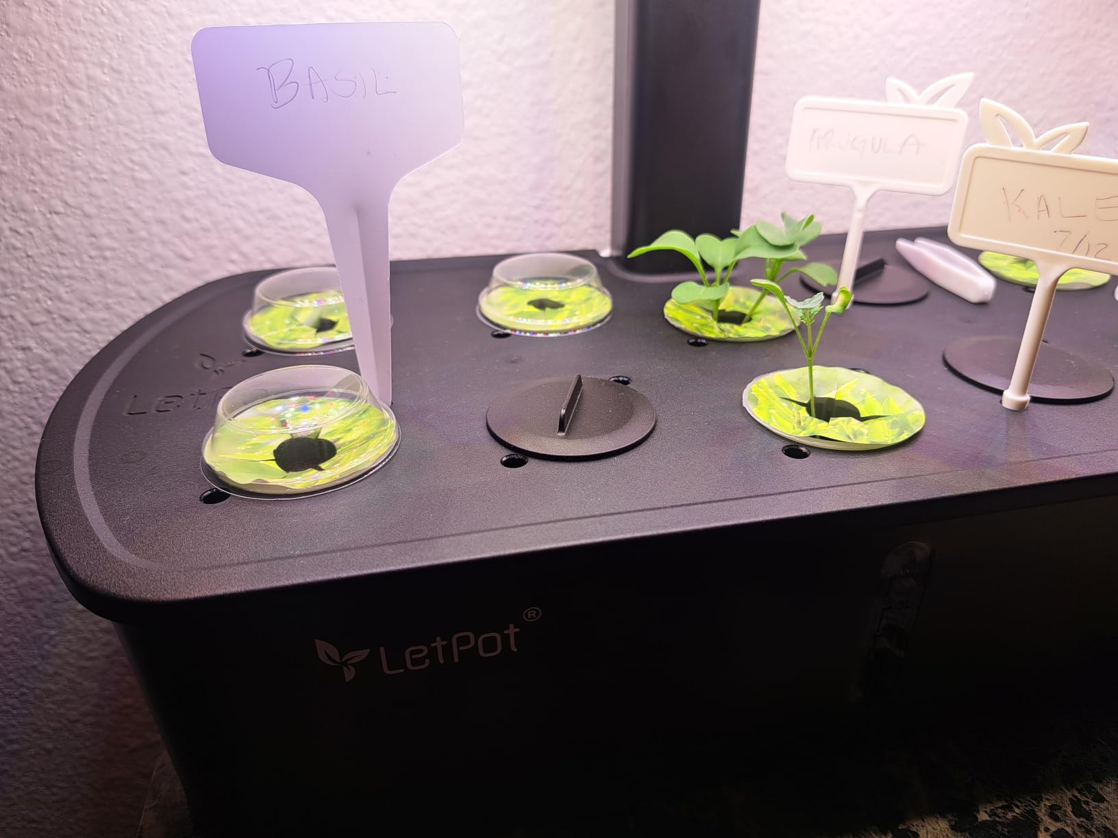 LetPot LPH-Air Hydroponics Growing System Kits, APP & WiFi Controlled Smart Indoor Garden with Adjustable 24W Grow Light Full Spectrum, 10 Pods Planter Indoor Gardening for Gifts, Kitchen, Vegetable customer photo 2