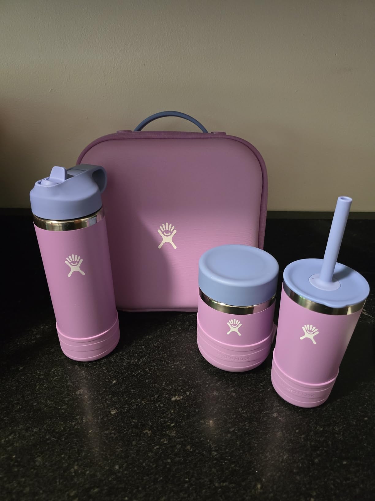 Hydro Flask Insulated Food Container - Snack Container for Kids and Lunch Box - 12 Oz Food Jar in Anemone Purple customer photo 1