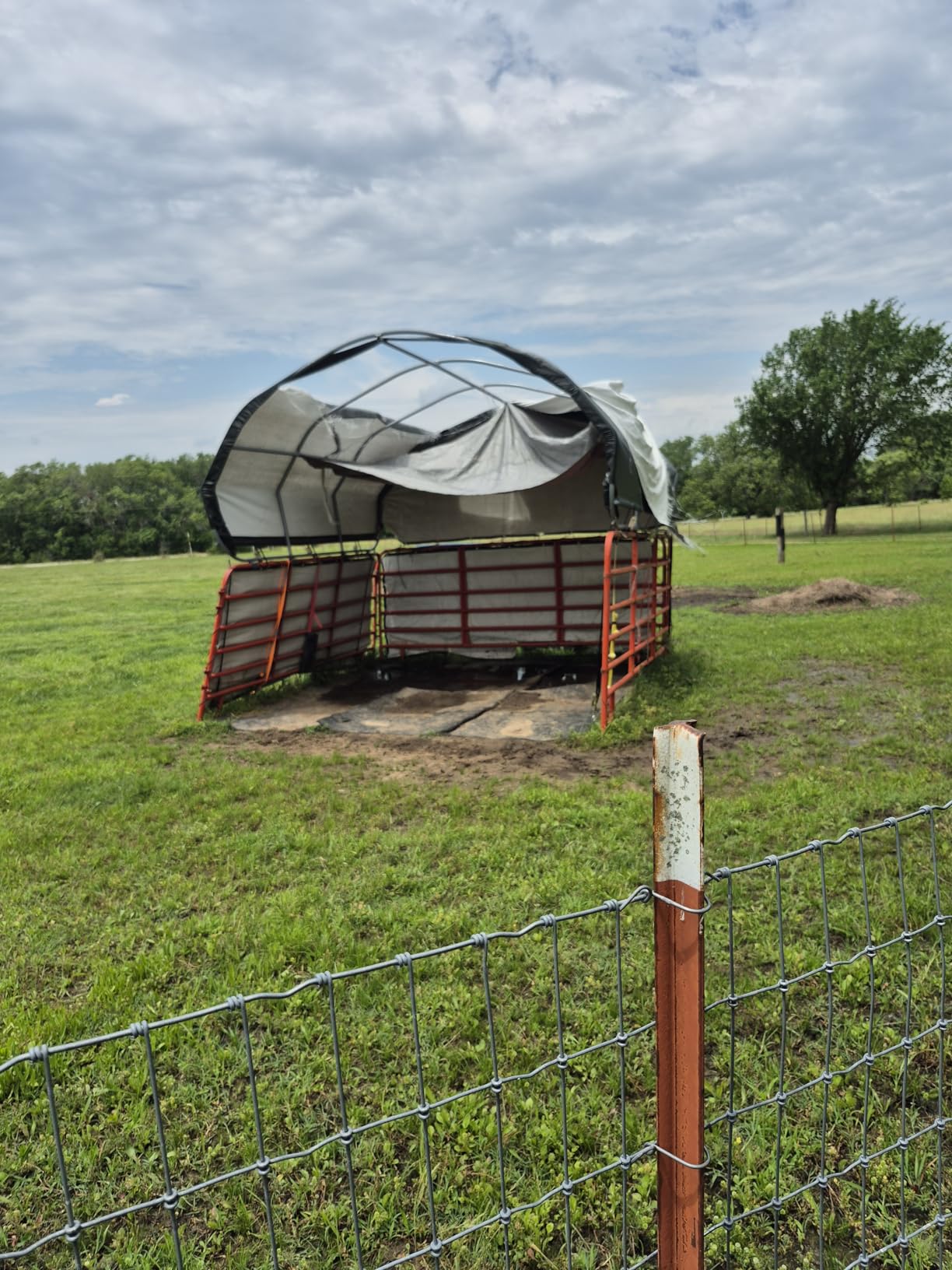 ShelterLogic Standard Replacement Cover 804782-0102 for 51523 12x12 ft. Corral Shelter customer photo 1