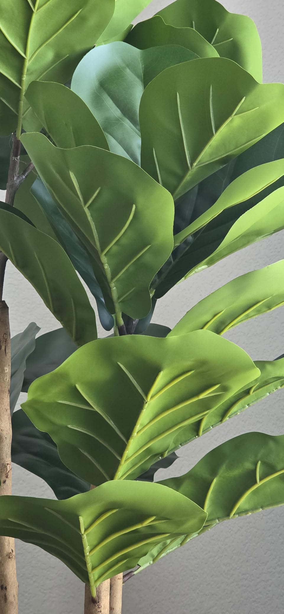 Artificial Fiddle Leaf Fig Tree with White Planter, 5ft Tall Fake Tree with Natural Wood Trunk for Home Decor, Faux Ficus Tree Fake Moss for Indoor Office Living Room customer photo 1