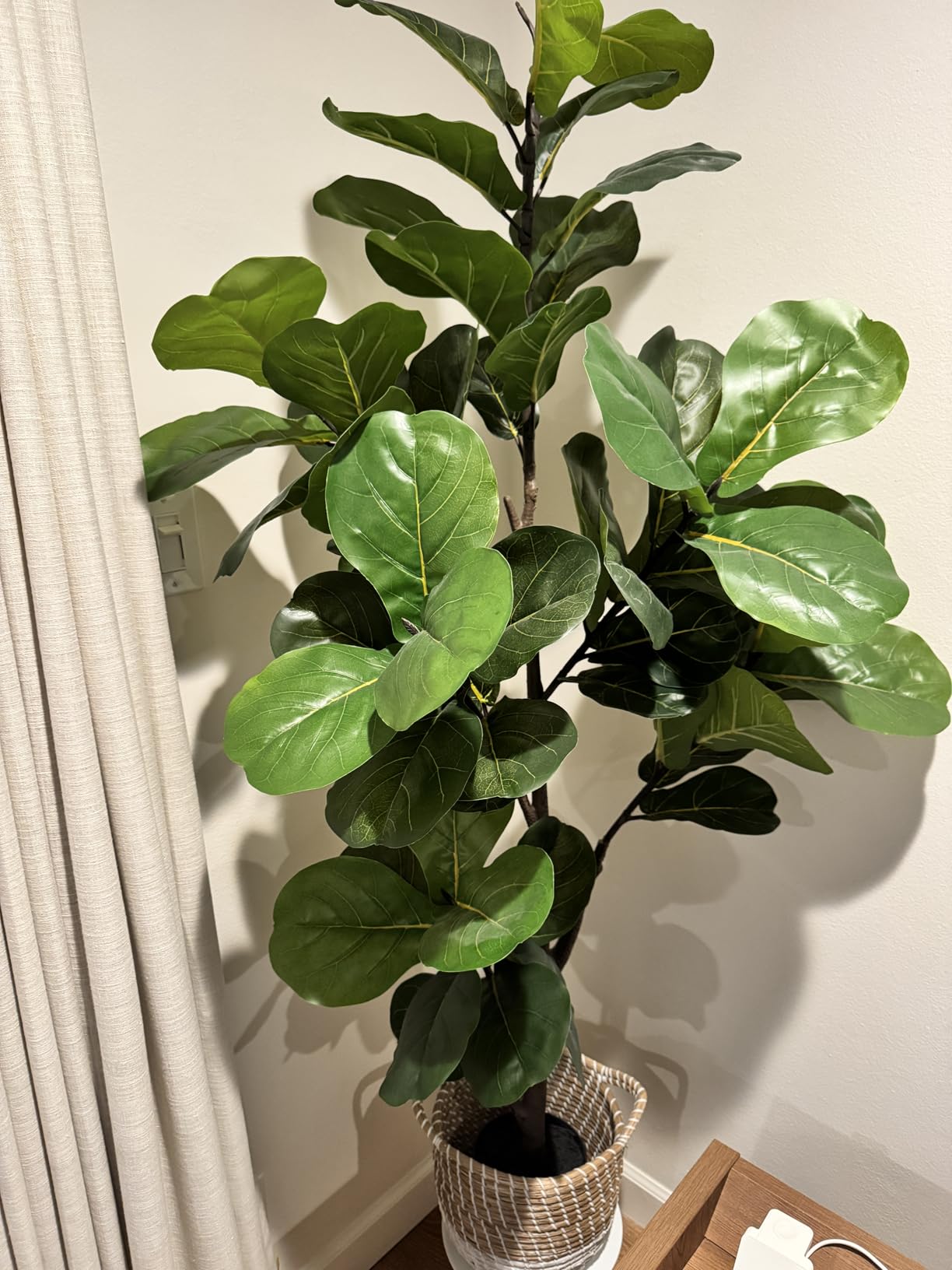 Pertivery Artificial Fiddle Leaf Fig Tree 6ft, Large Faux Plant Fake Ficus lyrata Silk Trees with Pot for Indoor Outdoor House Living Room Office Home Decor customer photo 1