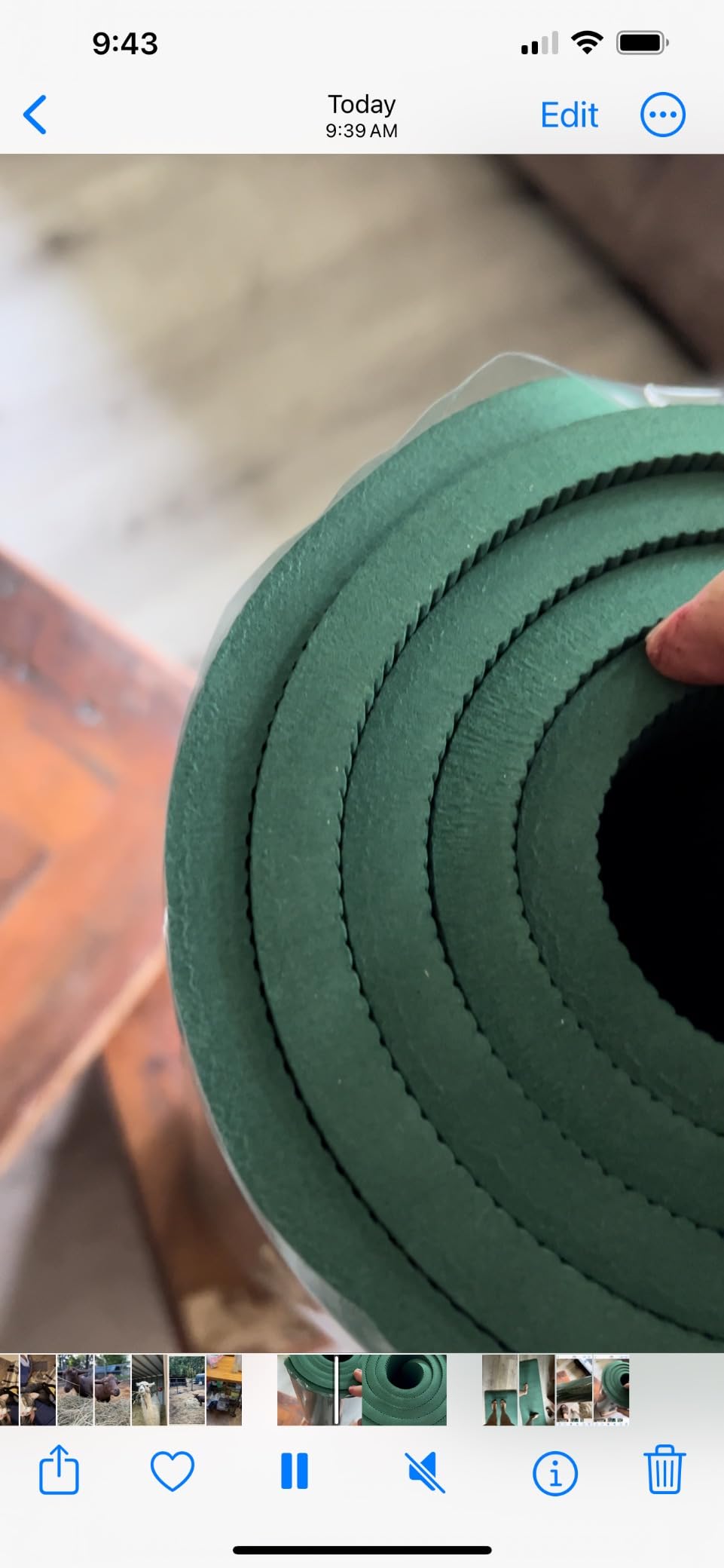 YOTTOY Yoga Mat, Extra Thick Yoga Mat (1/2inch), Professional TPE Exercise Mat, Non-Slip Workout Mat for Yoga, Pilates, Fitness, Barefoot Workouts, Home Gym Studio with Strap customer photo 2
