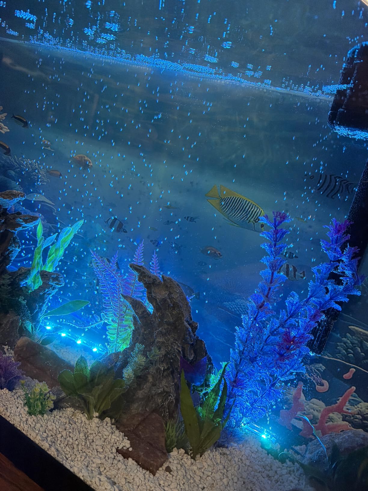 Smart App-Controlled LED Aquarium Light with 16 Million Colors, 12 Dynamic Effects, Fish Tank Light with Nano Air Bubble for Aquarium Bubbler Decorations, Submersible Fish Tank Accessories - 23