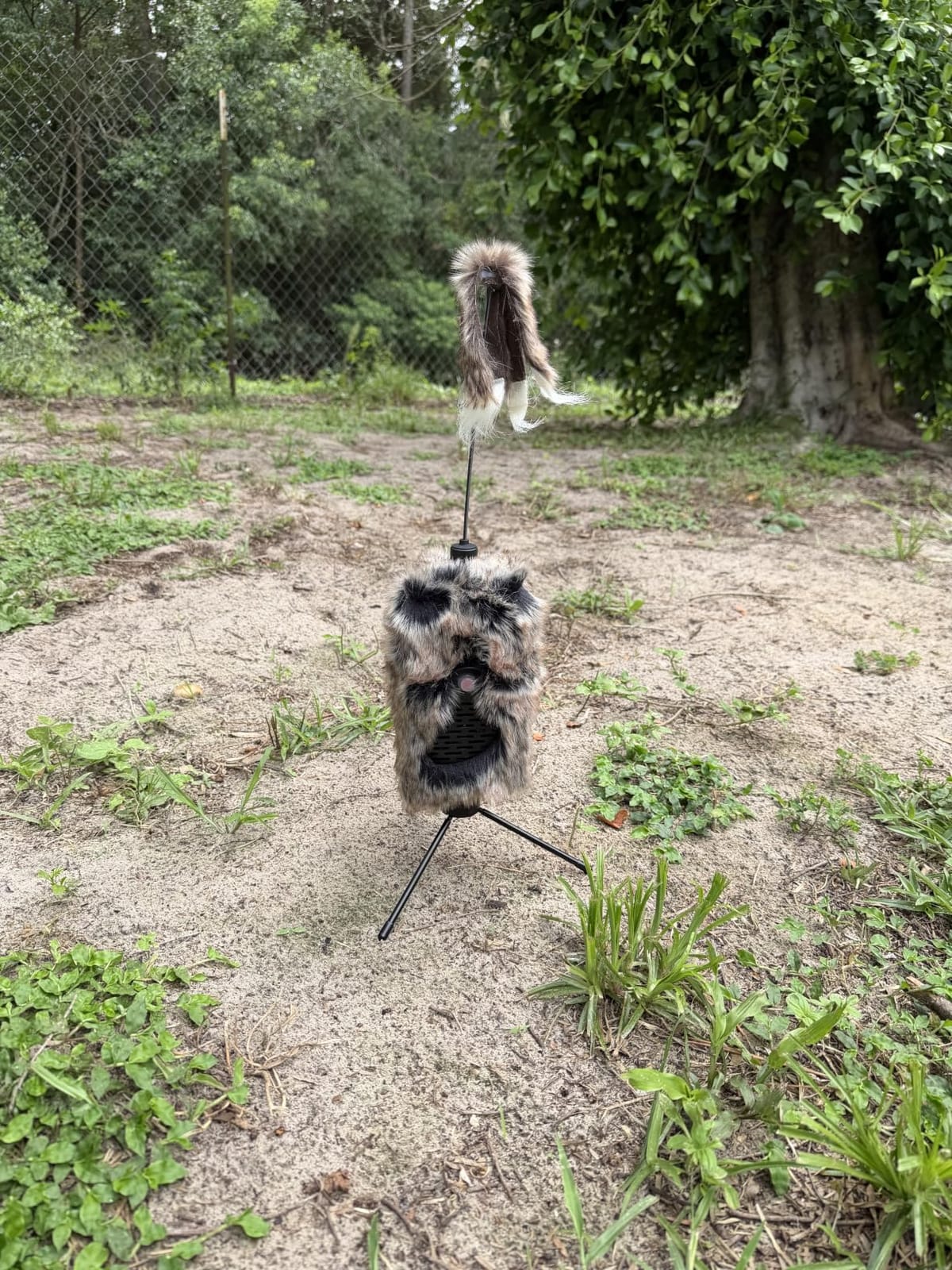 Icotec Furnado Predator Game Caller Decoy Combo - Designed for Coyote, Fox, Bobcat, Raccoon Hunting - 15 Sounds Included, 150 Yard Remote Range. customer photo 2
