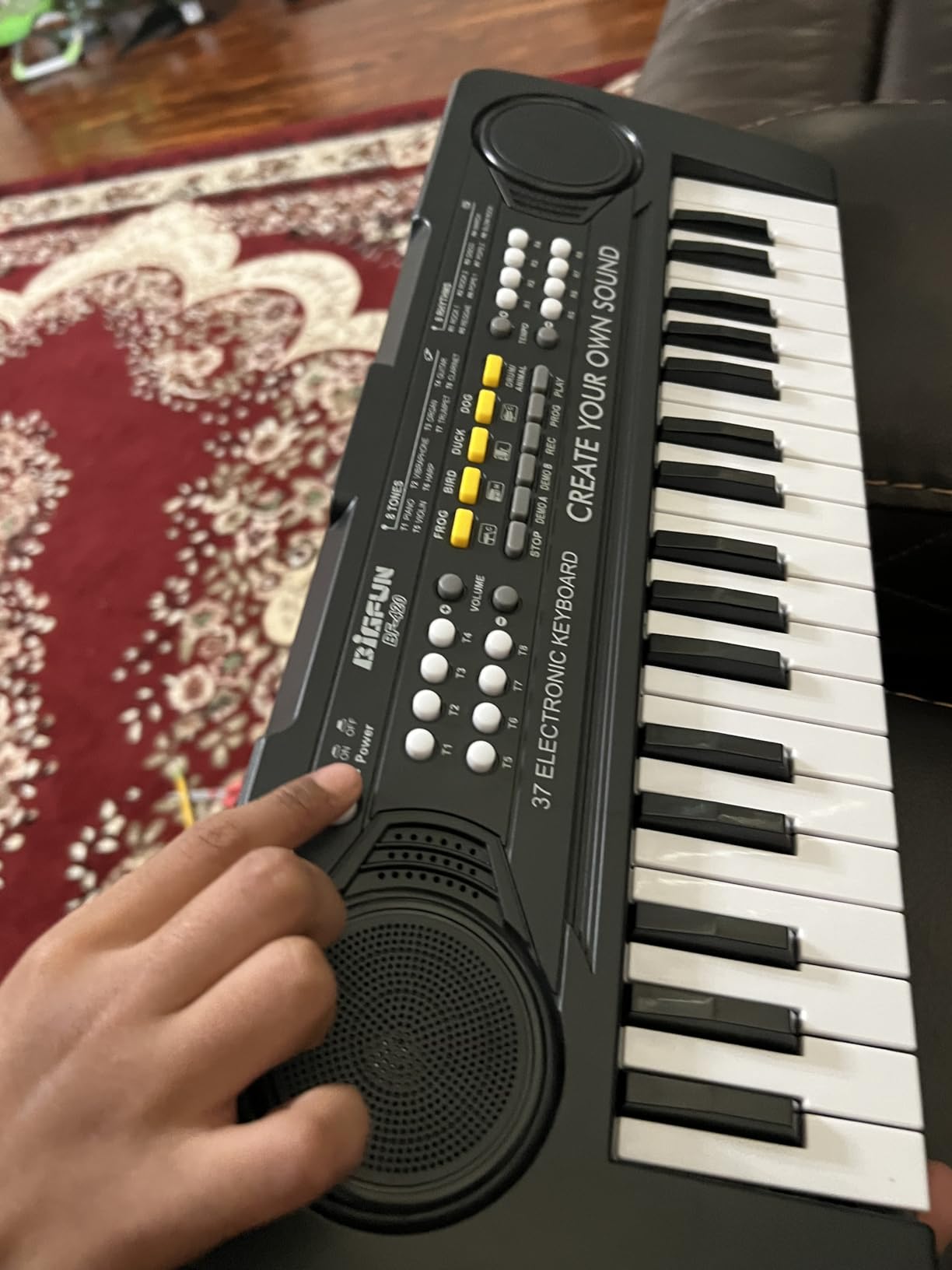 Raimy 37 Keys Keyboard Piano for Kids, Early Learning Educational Portable Electronic Musical Instrument Toys Gifts for 3 4 5 6 7 8 9 Year Old Boys and Girls (Black) customer photo 1
