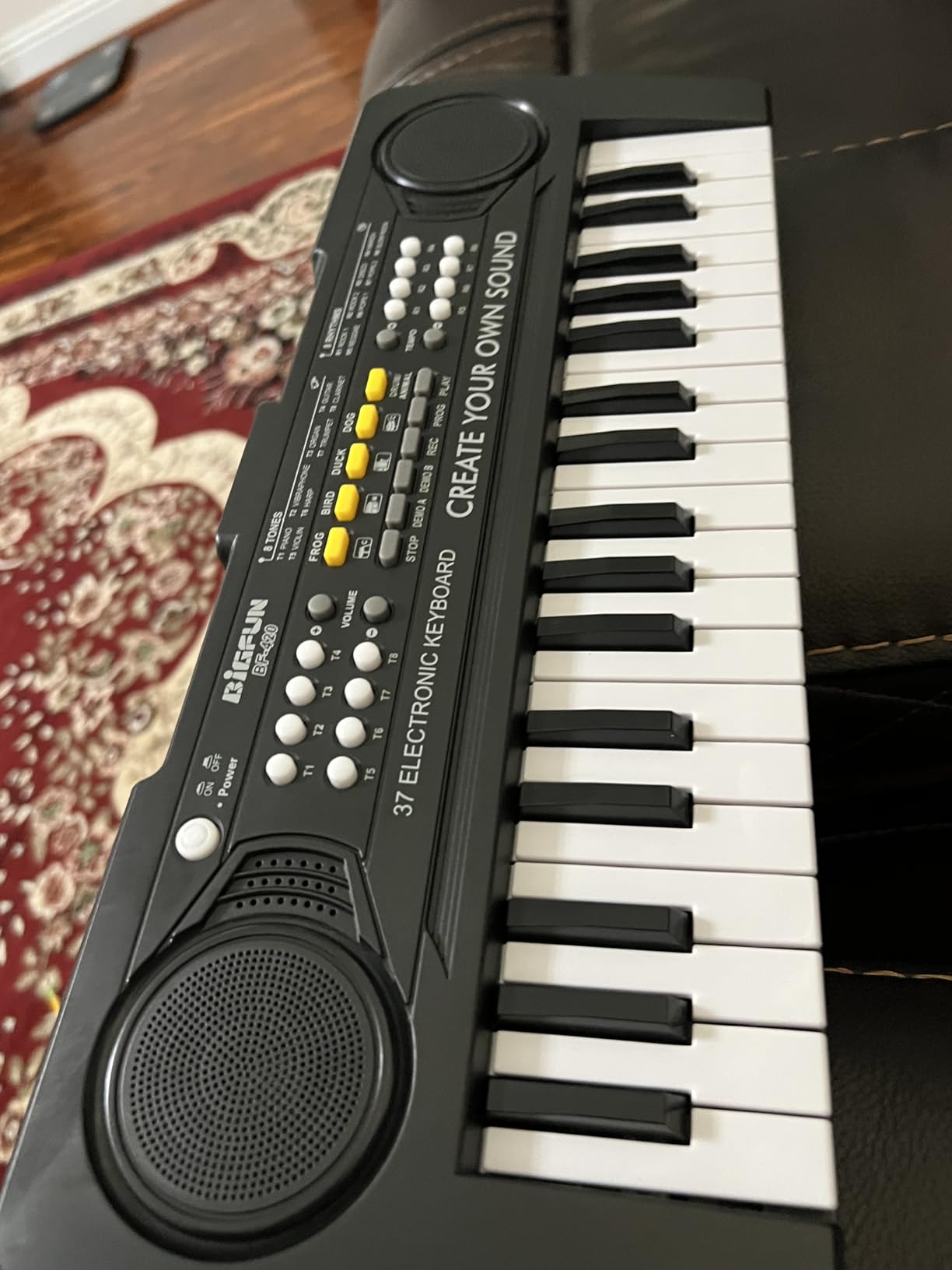Raimy 37 Keys Keyboard Piano for Kids, Early Learning Educational Portable Electronic Musical Instrument Toys Gifts for 3 4 5 6 7 8 9 Year Old Boys and Girls (Black) customer photo 2