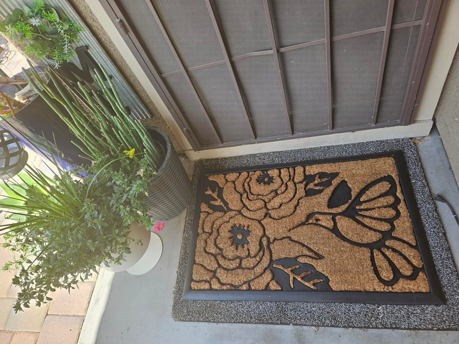 Calloway Mills 112981830 Snow and Mud Scraper Doormat 18