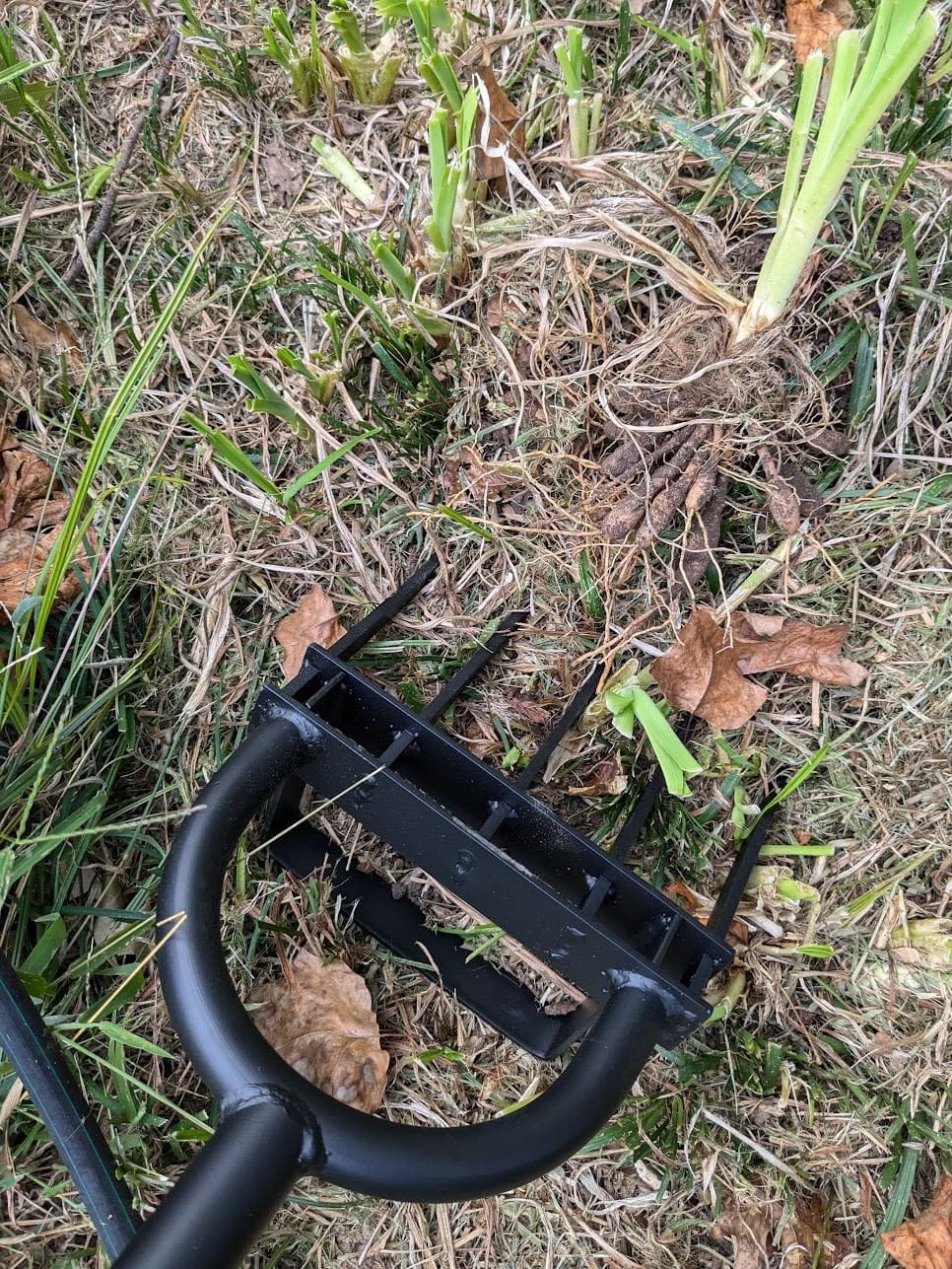 Garden Fork, Pitchforks for Digging Composting Spading, Long Hand Tiller & Cultivator - 5 Tine, 45 inches customer photo 2