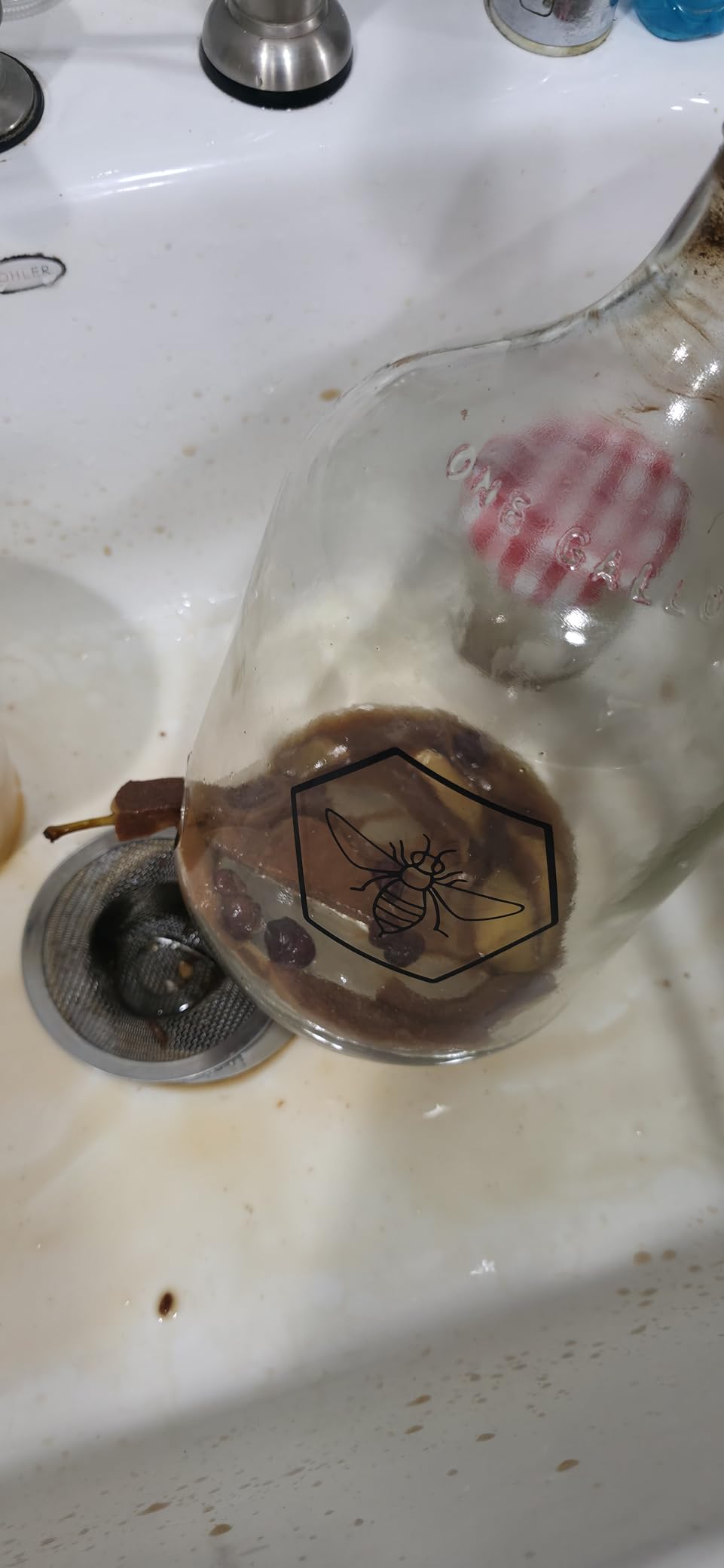 Complete Mead Making Kit for Beginners - Home Brewing Starter Kit - Includes 1 Gallon Glass Jug Carboy - Auto Siphon - Airlock - How to Guide and More customer photo 2