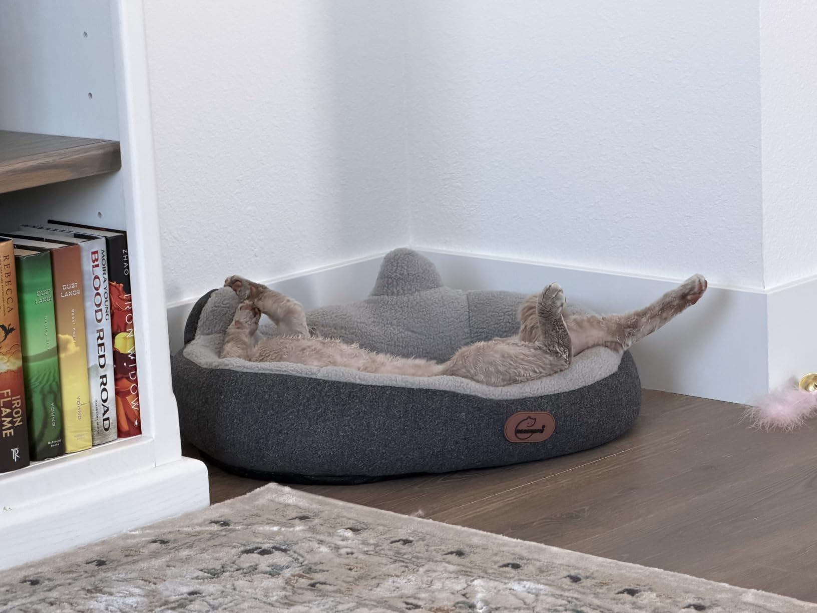 Heated Cat Bed for Small Size Cats, Heated Pet Bed with Timer & Temp Adjustable, Removable Waterproof Pet Heating Pad for Indoor, Gray Cozy Donut Electric Bed Heater Warmer for Kitten Cat customer photo 2