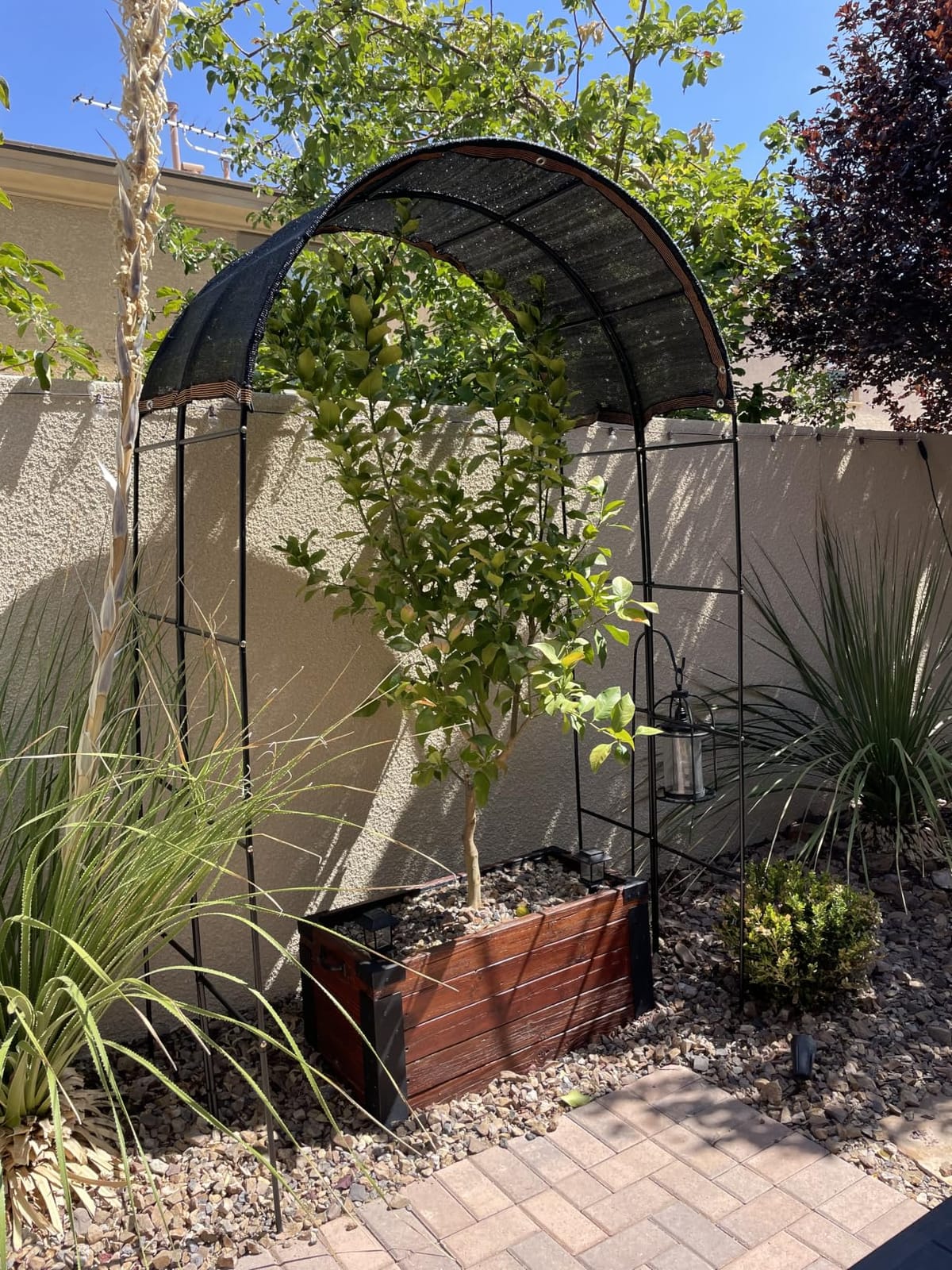 RUBFAC 7.8ft Garden Arbor, Metal Arch Frame for Wedding Ceremony customer photo 2
