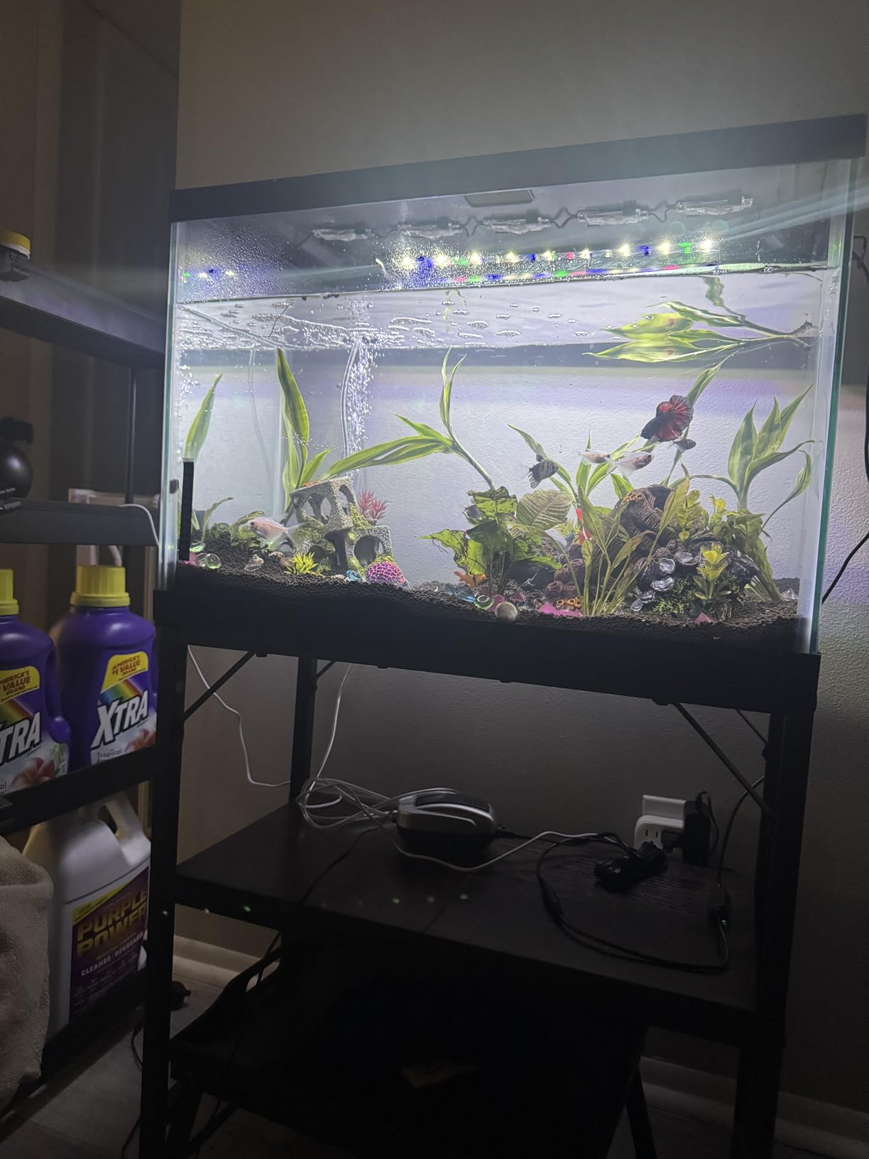 MAHANCRIS 20 Gallon Fish Tank Stand, Aquarium Stand with 2-Tier Storage Shelves, Heavy Duty Breeder Turtle Terrarium Stand Rack for Home Office, 24.0