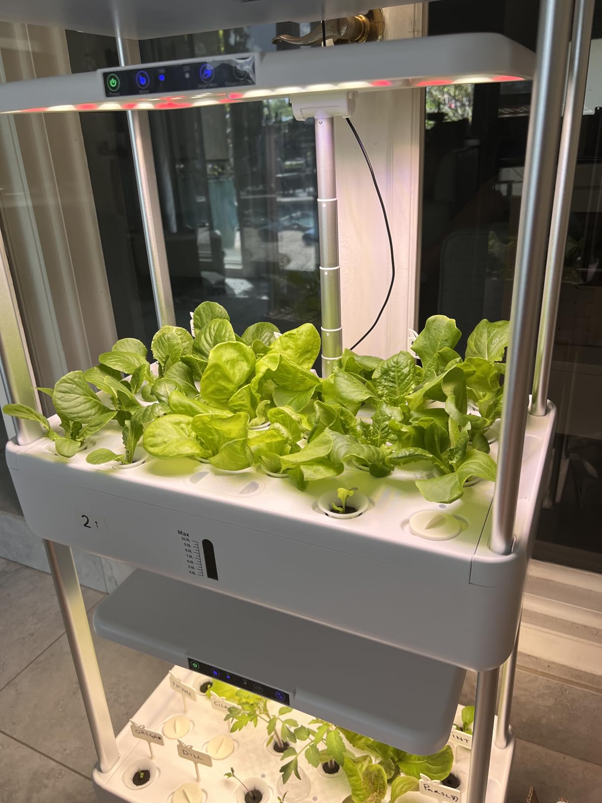 Indoor Garden Hydroponics Growing System Kit: 66 Pods Plant Herb Garden Germination Kit with LED Grow Light, 30L Large Capacity Kitchen Hydroponics Planter Grower for Vegetable Fruit customer photo 2