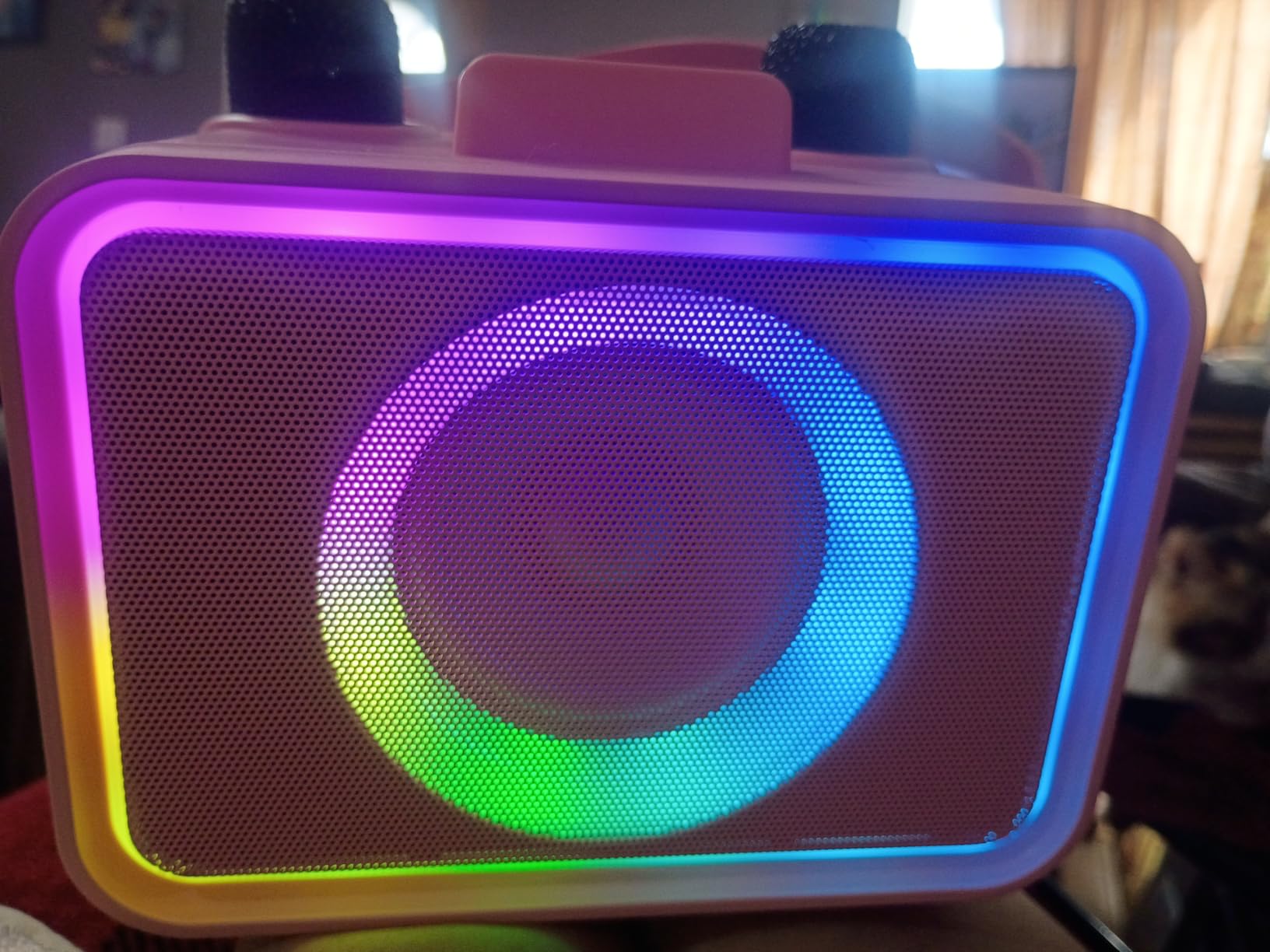 Karaoke Machine for Kids Adults, Portable Bluetooth Speaker with 2 Wireless Microphones, 1 Disco Ball Strobe Lamp 7 Modes Stage Light for Home Room Dance Parties Birthday customer photo 2