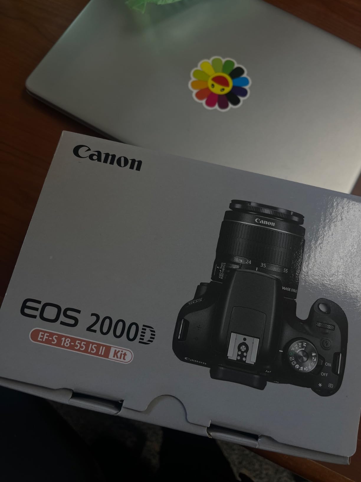 Canon EOS 2000D / Rebel T7 DSLR Camera w/EF-S 18-55mm F/3.5-5.6 Zoom Lens + 64GB Memory, LED Video Light, Case, Gripster Tripod, and More (Essential Bundle) (Renewed) customer photo 2