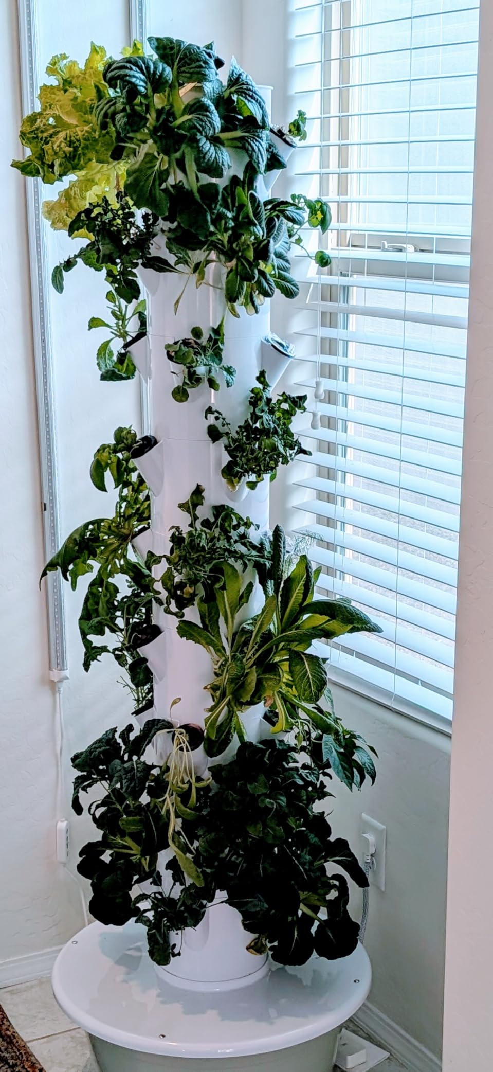 Vertical Hydroponic Grow Tower Aeroponic Tower for Fruits and Vegetables 9 Layer 36 Pots Planter with Water Tank and Pump customer photo 2