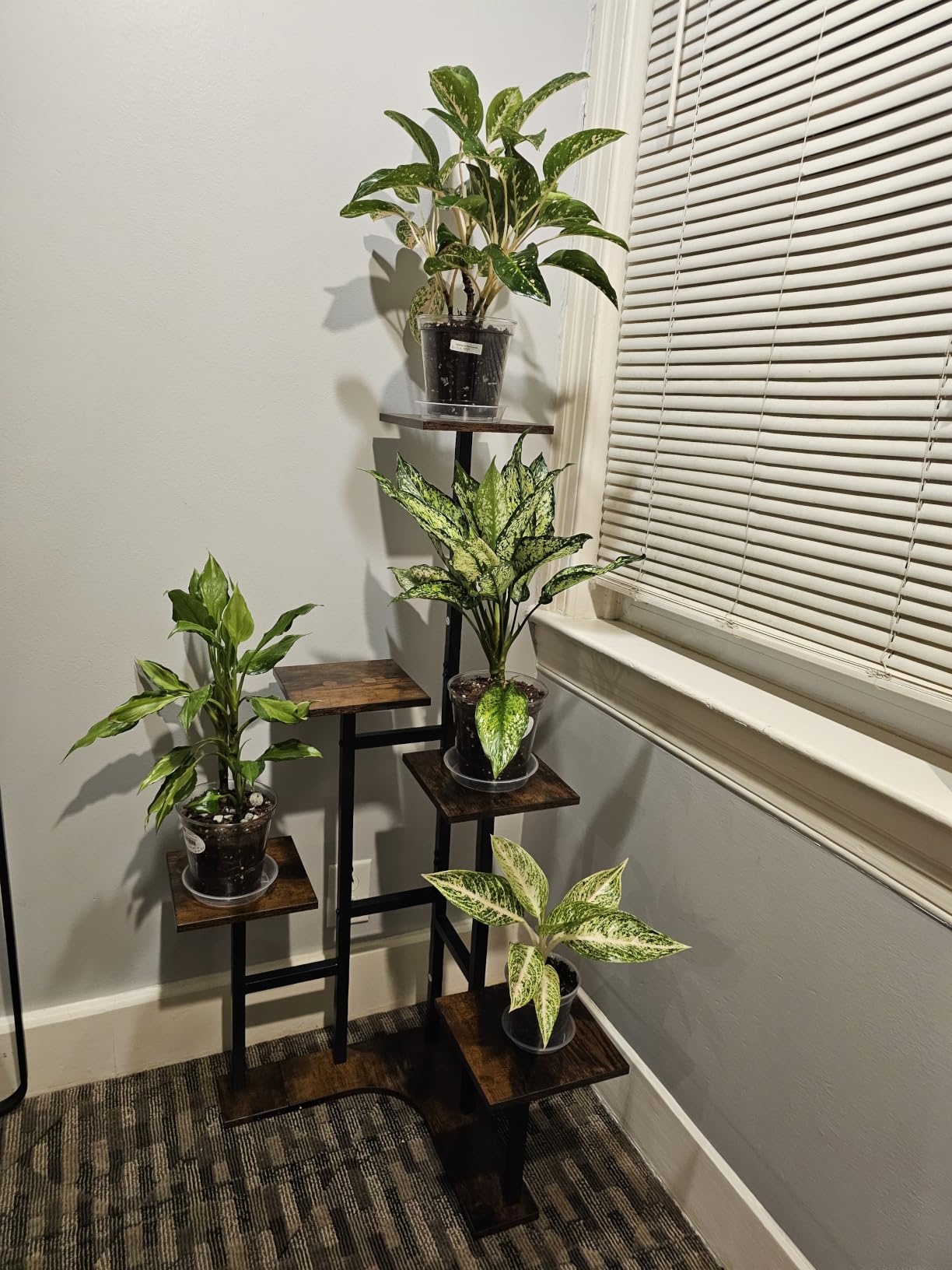 Yzosvki Corner Plant Stand Indoor 6 Tiered Corner Plant Shelf customer photo 1