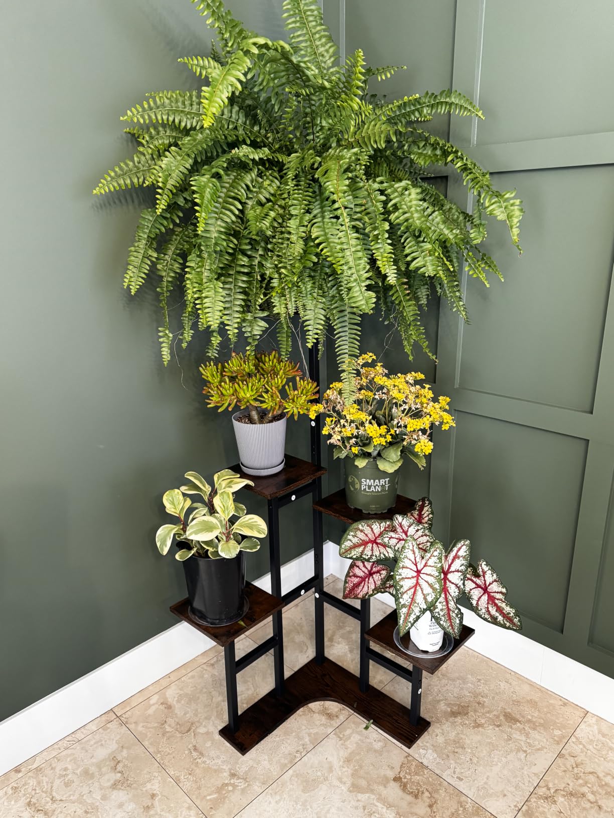 Yzosvki Corner Plant Stand Indoor 6 Tiered Corner Plant Shelf customer photo 2