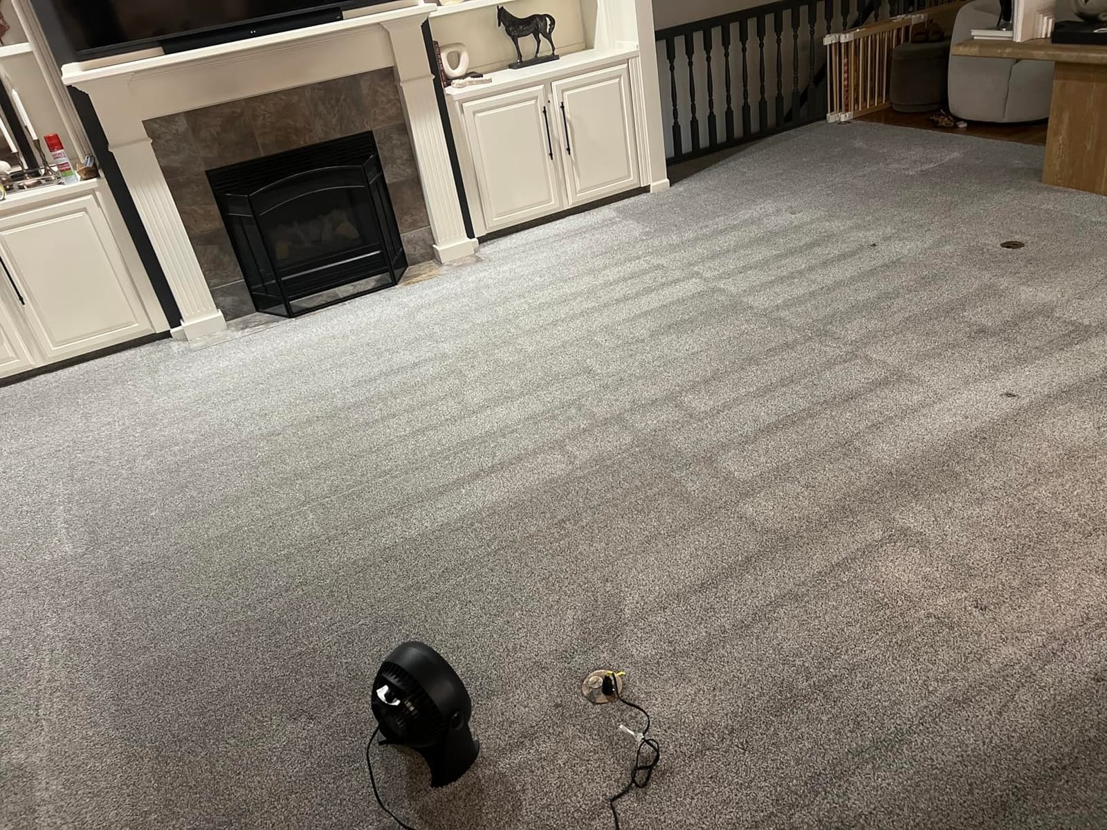 BISSELL TurboClean PET, Upright Carpet & Upholstery Cleaner, 3948 customer photo 1