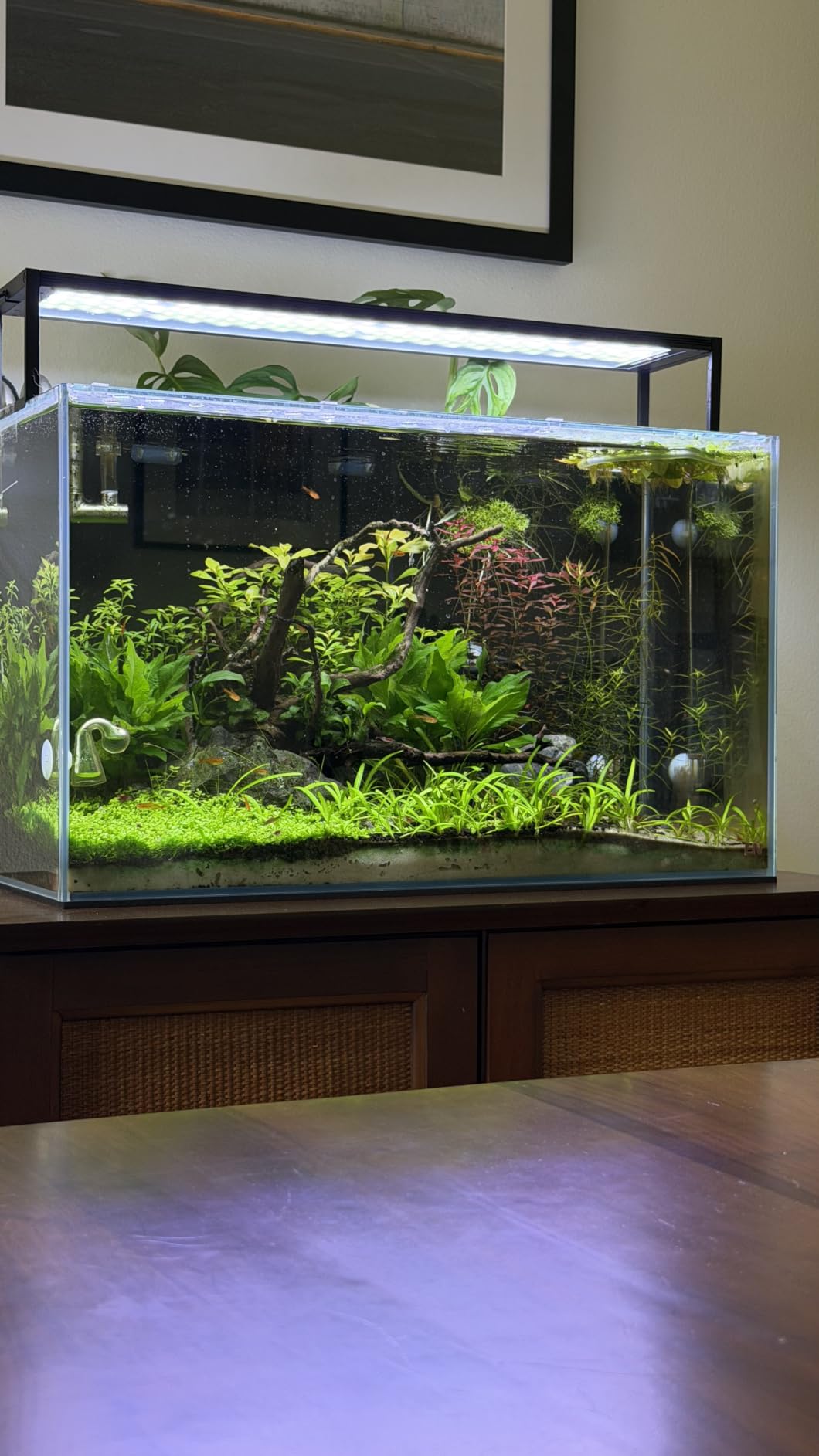 FZONE Aquarium Light for Plants, 24W LED Fish Tank Light for 18-24