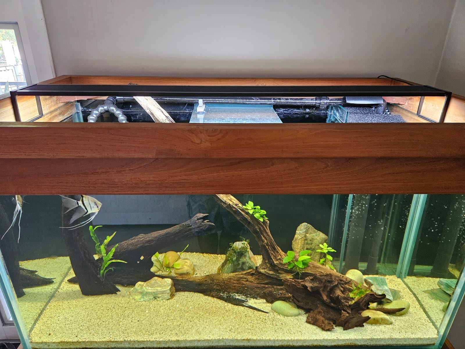 FZONE Aquarium Light for Plants, 24W LED Fish Tank Light for 18-24