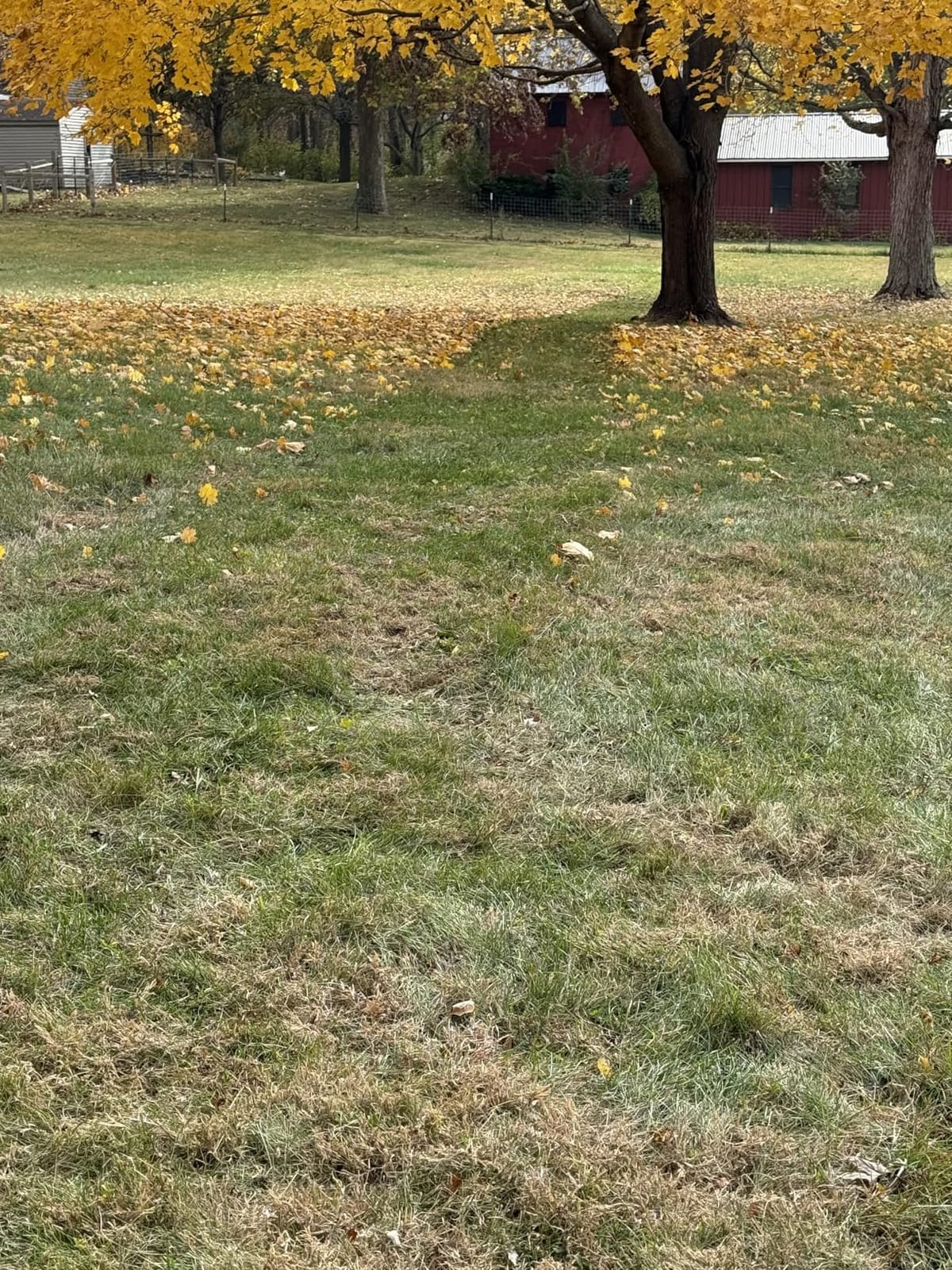 Agri-Fab Soft Top Mow-N-Vac Tow Behind Lawn Vacuum, 29 Cu Ft Leaf and Grass Collection System with 208cc Engine customer photo 1