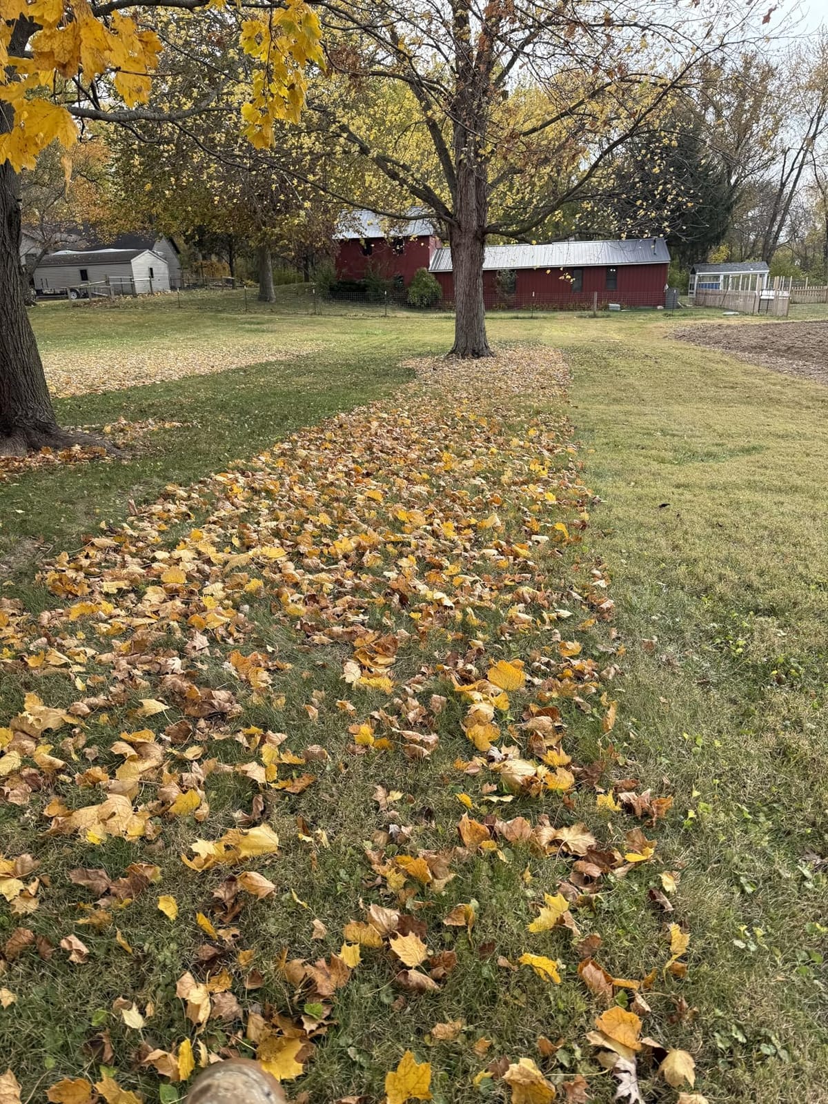Agri-Fab Soft Top Mow-N-Vac Tow Behind Lawn Vacuum, 29 Cu Ft Leaf and Grass Collection System with 208cc Engine customer photo 2