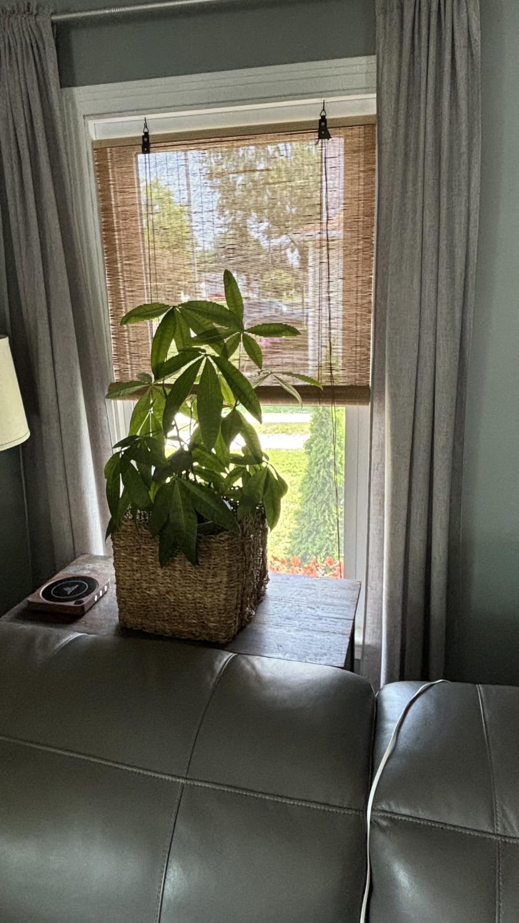 Bamboo Blinds for Interior Windows, Custom Bamboo Shades | Roller Shades for Indoor Window and Outdoor Patio, Easy to Install for Decks, Porches & Backyards customer photo 2