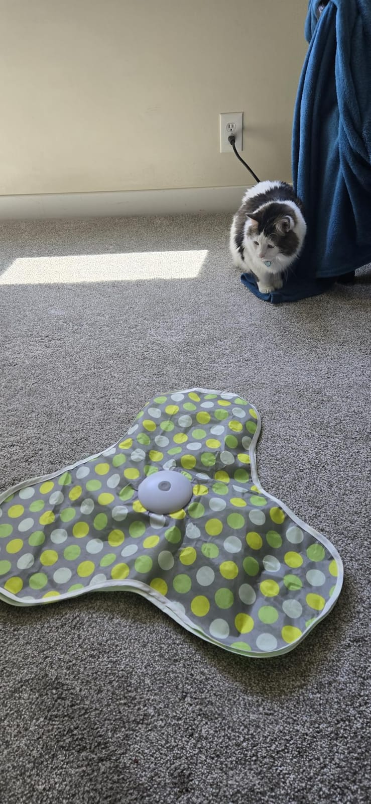 Interactive Cat Toys, Moving Concealed Feathers Toy for Indoor Cats | Mouse Squeaky, Touch Activated, Cat Kitten Toy Exercise Toys for Indoor Bored Adult Cats, Rechargeable Cat Stimulation Teaser customer photo 1