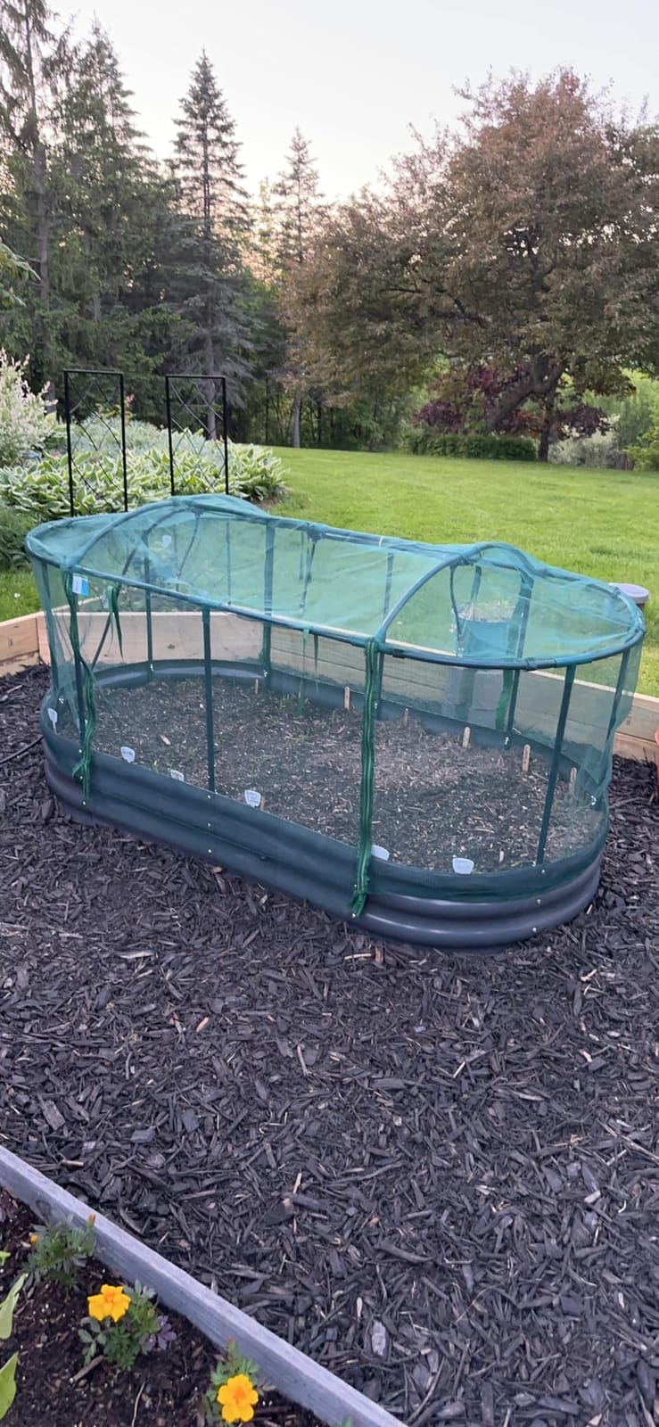Quictent Raised Garden Bed Kit with Self Watering System & Netting 8x3x1Ft | Large Oval Metal Outdoor Planter Garden Boxes for Vegetables Herbs Flowers customer photo 1