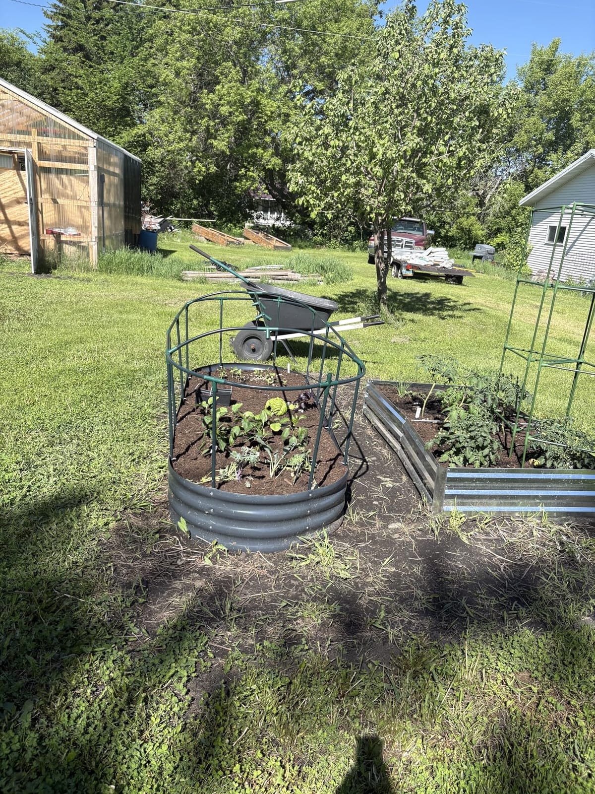 Quictent Raised Garden Bed Kit with Self Watering System & Netting 8x3x1Ft | Large Oval Metal Outdoor Planter Garden Boxes for Vegetables Herbs Flowers customer photo 2