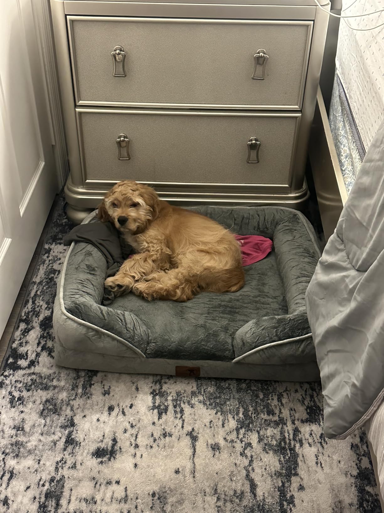 Spotted Play Orthopedic Dog Bed with Sides - Dog Sofa Beds for Medium Dogs, Supportive Foam Pet Couch Bed with Washable Removable Cover, Waterproof Lining and Non-Slip Bottom, Grey - M customer photo 2