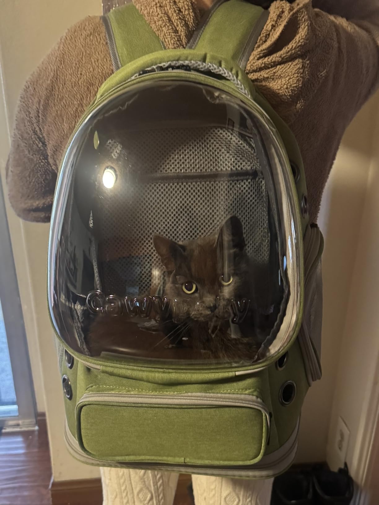 Cawypety Expandable Cat Backpack Large Space Cat Bubble Backpack Carrier - Breathable Mesh, Safety Leash, Sturdy, Transparent & Foldable Pet Carrier for Travel Hiking, Pet Backpack for Kitty Small Dog customer photo 1