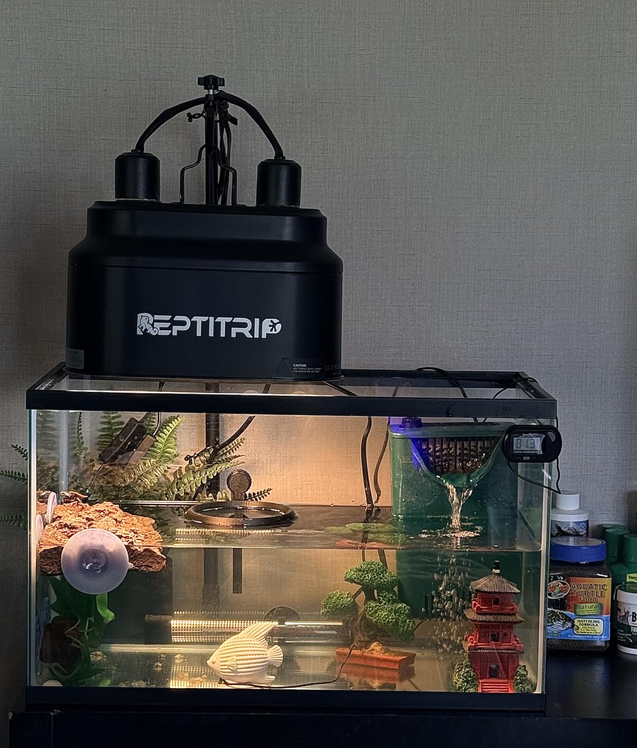 Dual Reptile Light Fixture with Switches, Reptile Heat Lamp Fixture, Reptiles Terrarium UVB Bulb Fixture for Bearded Dragon, Max 160W Each (Bulb Not Included) customer photo 1