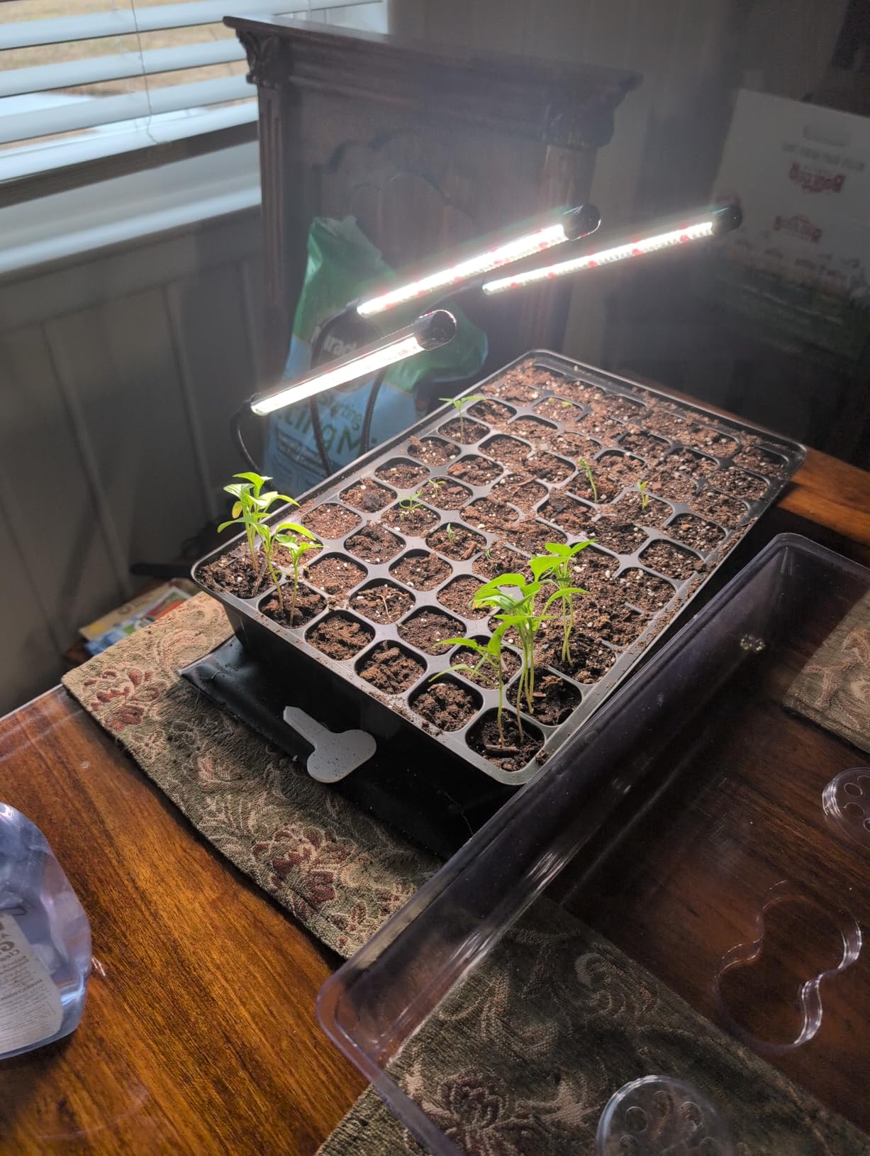 SOLIGT 60 Cell Seed Starter Kit with Grow Light and Heat Mat, Seed Starter Tray with Higher 4.3